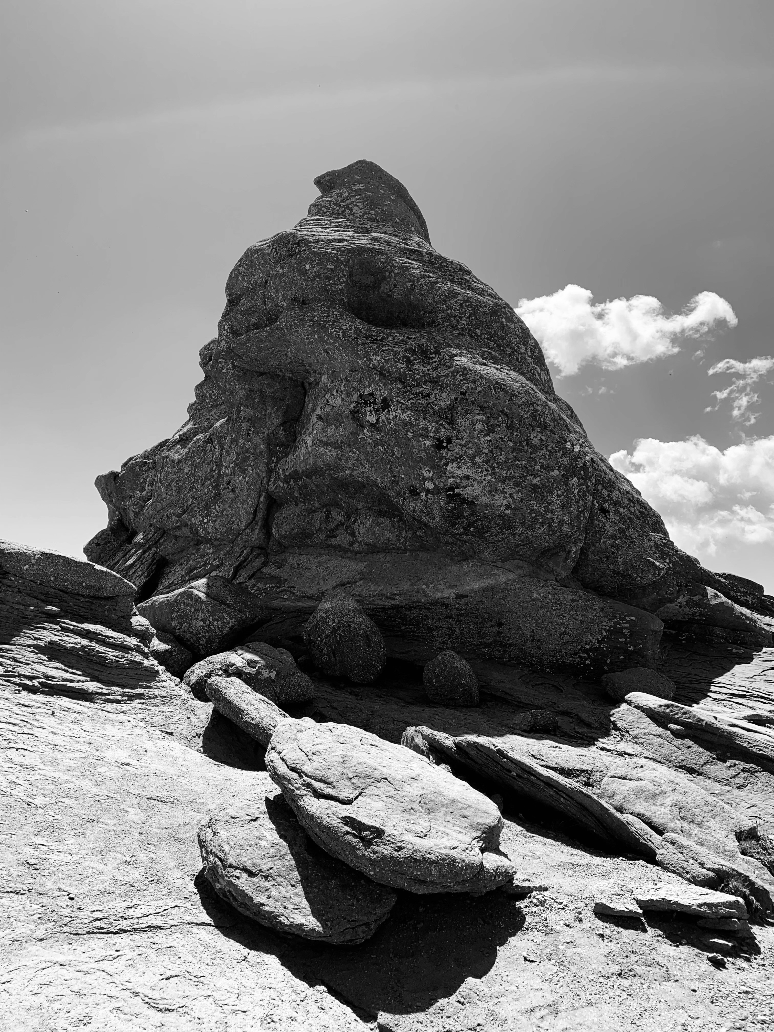 Photo by catalindumitrascu