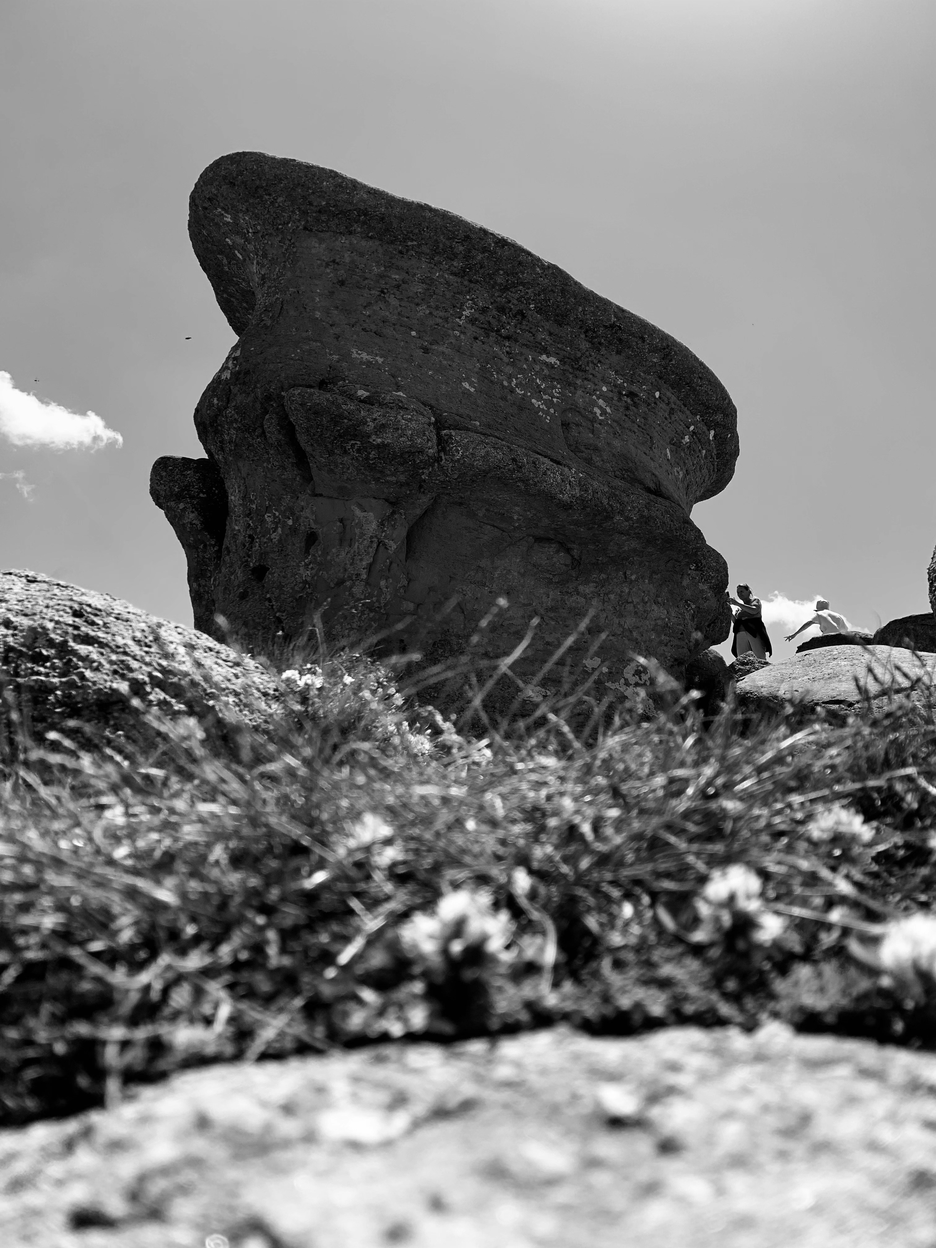 Photo by catalindumitrascu