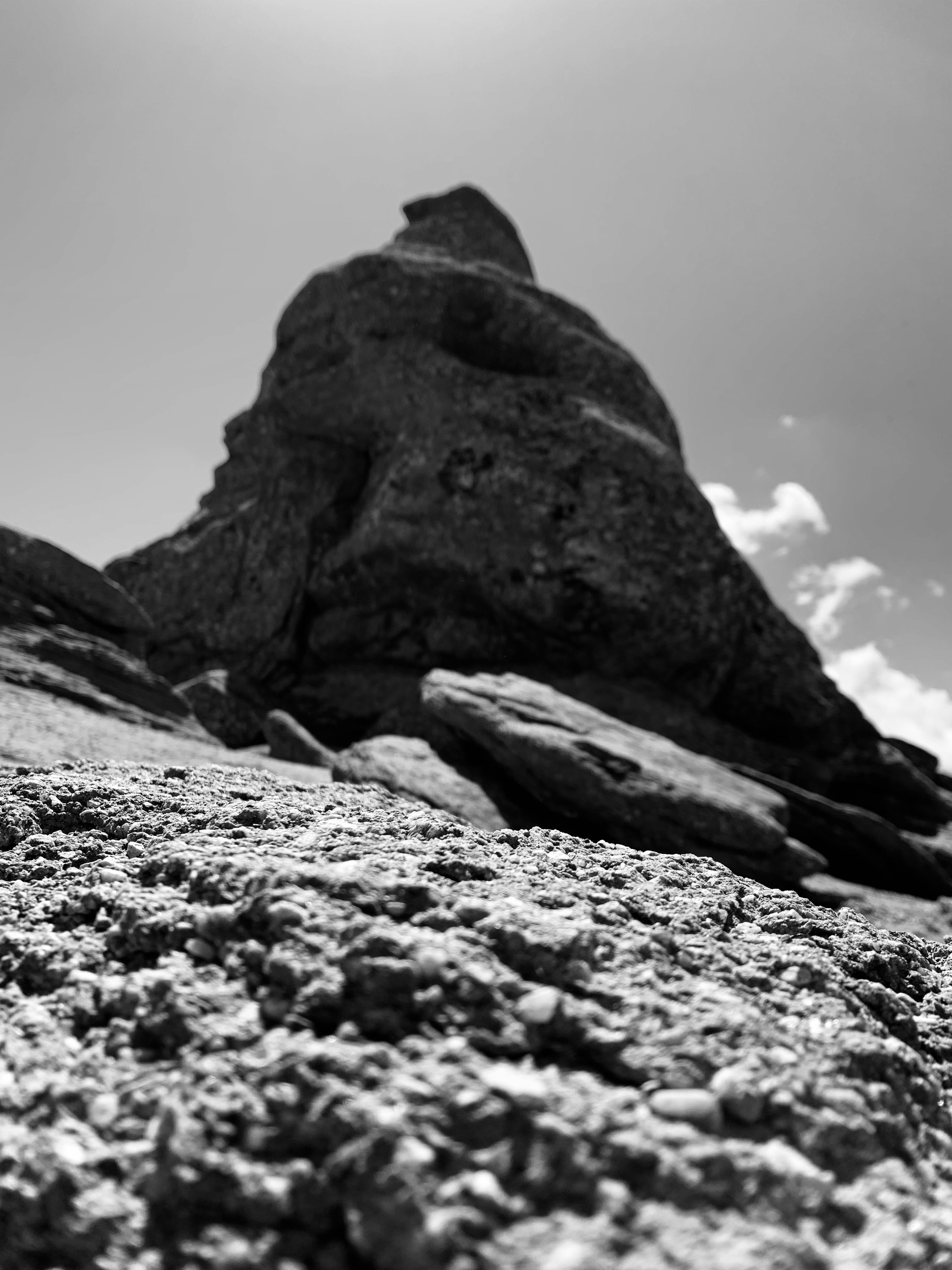 Photo by catalindumitrascu