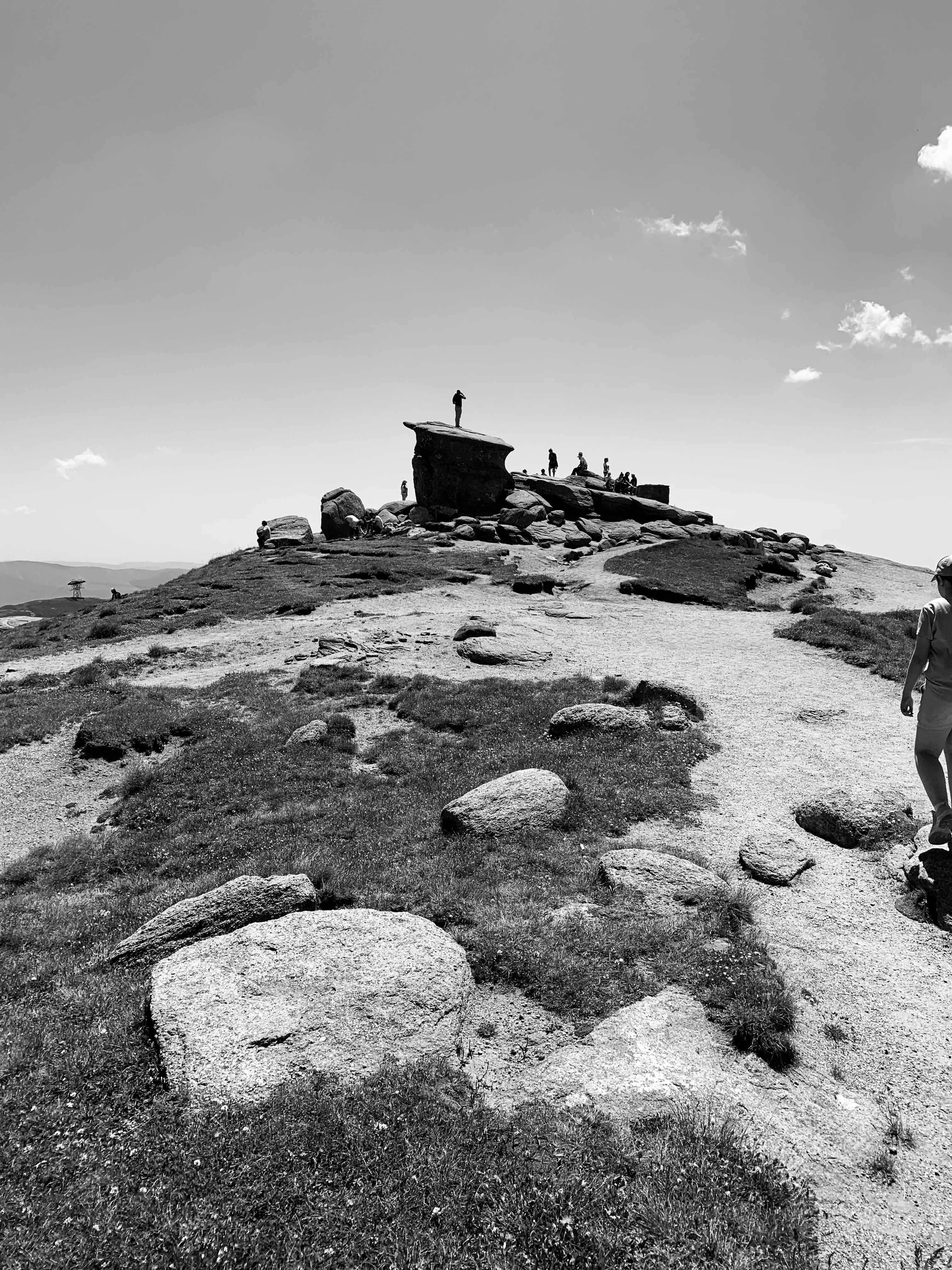 Photo by catalindumitrascu