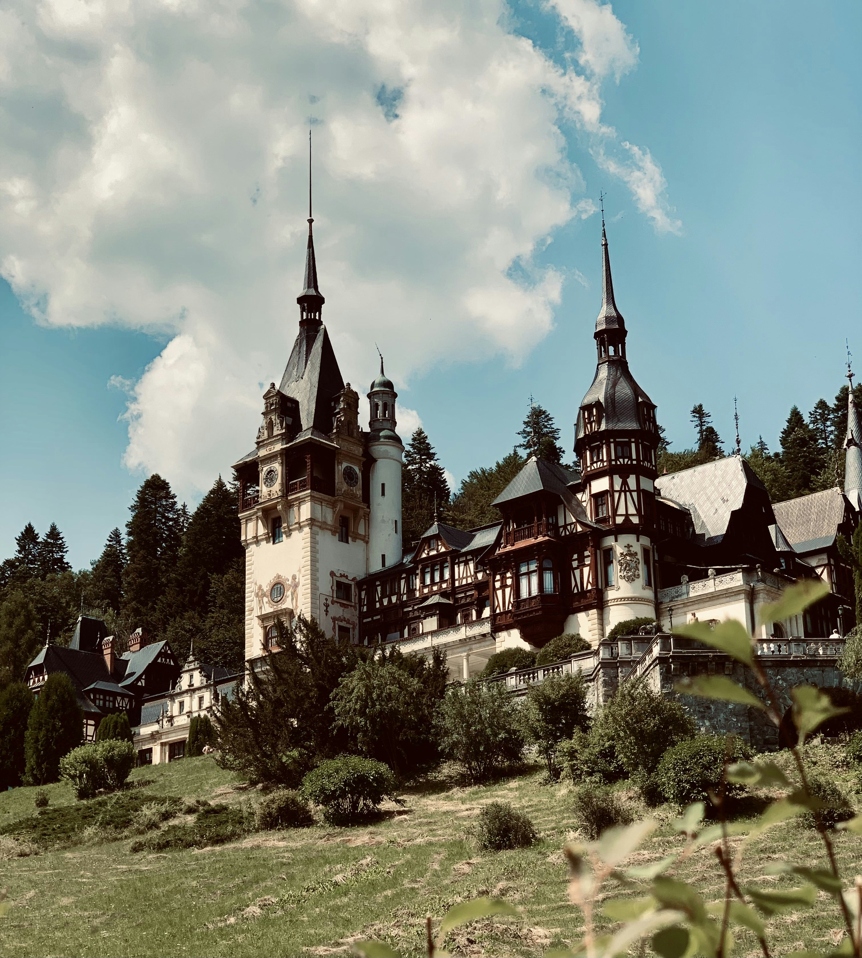 Photo by catalindumitrascu