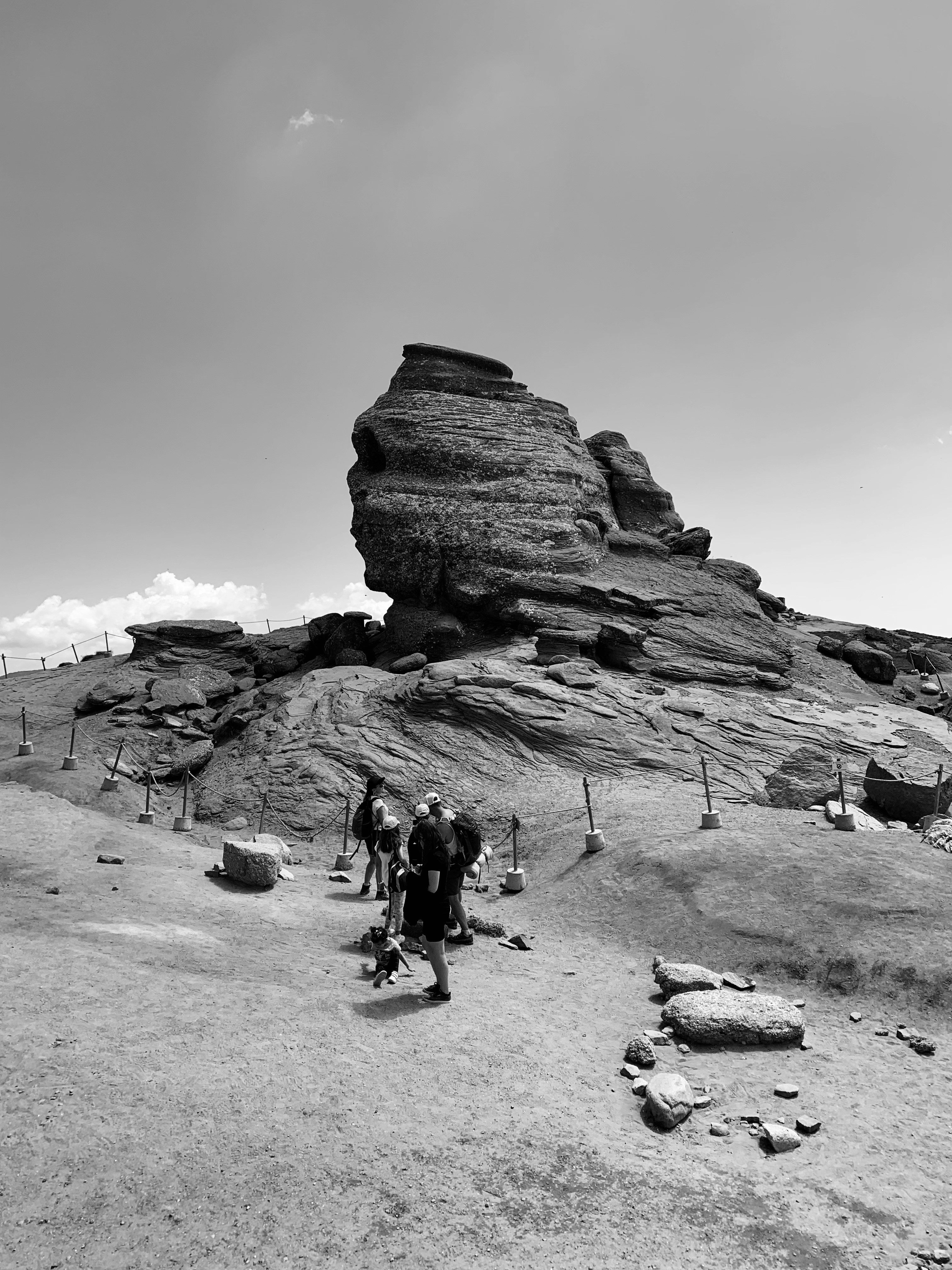 Photo by catalindumitrascu