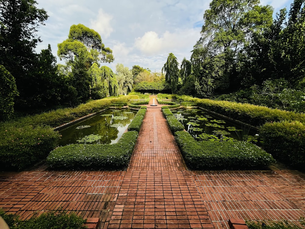 a brick walkway with a pond and bushes around it