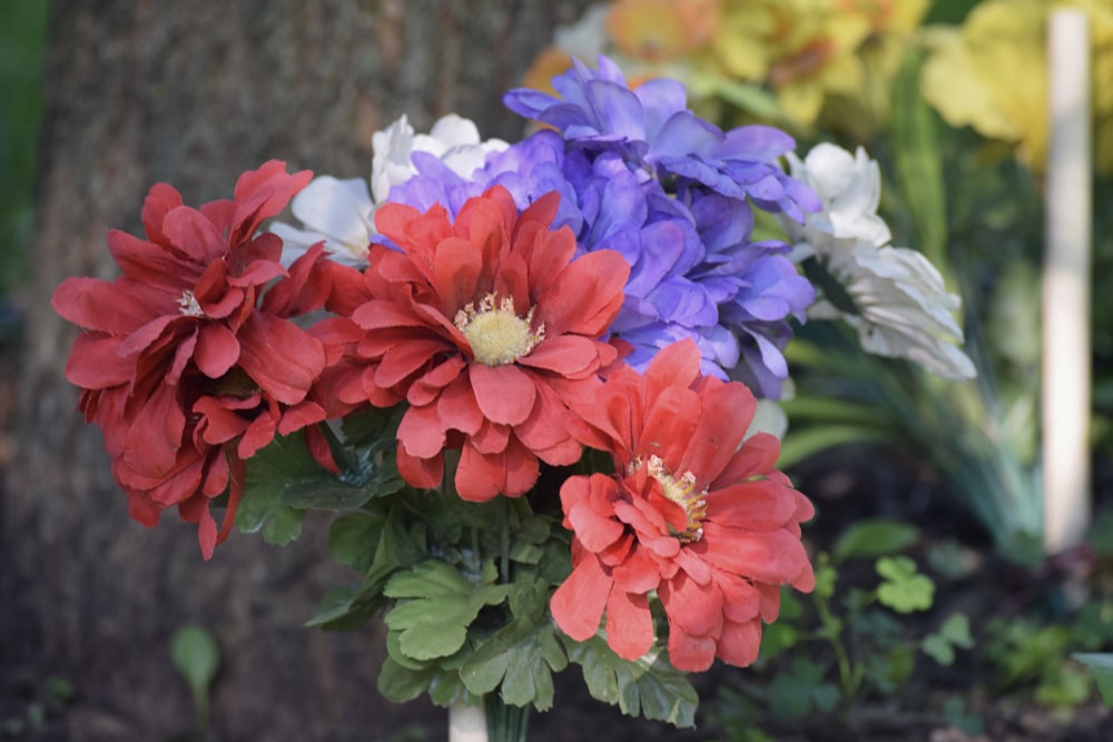 un grupo de flores de colores