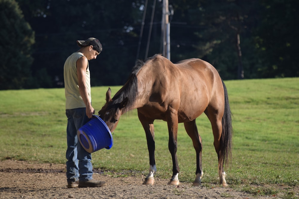 une personne avec un seau et un cheval