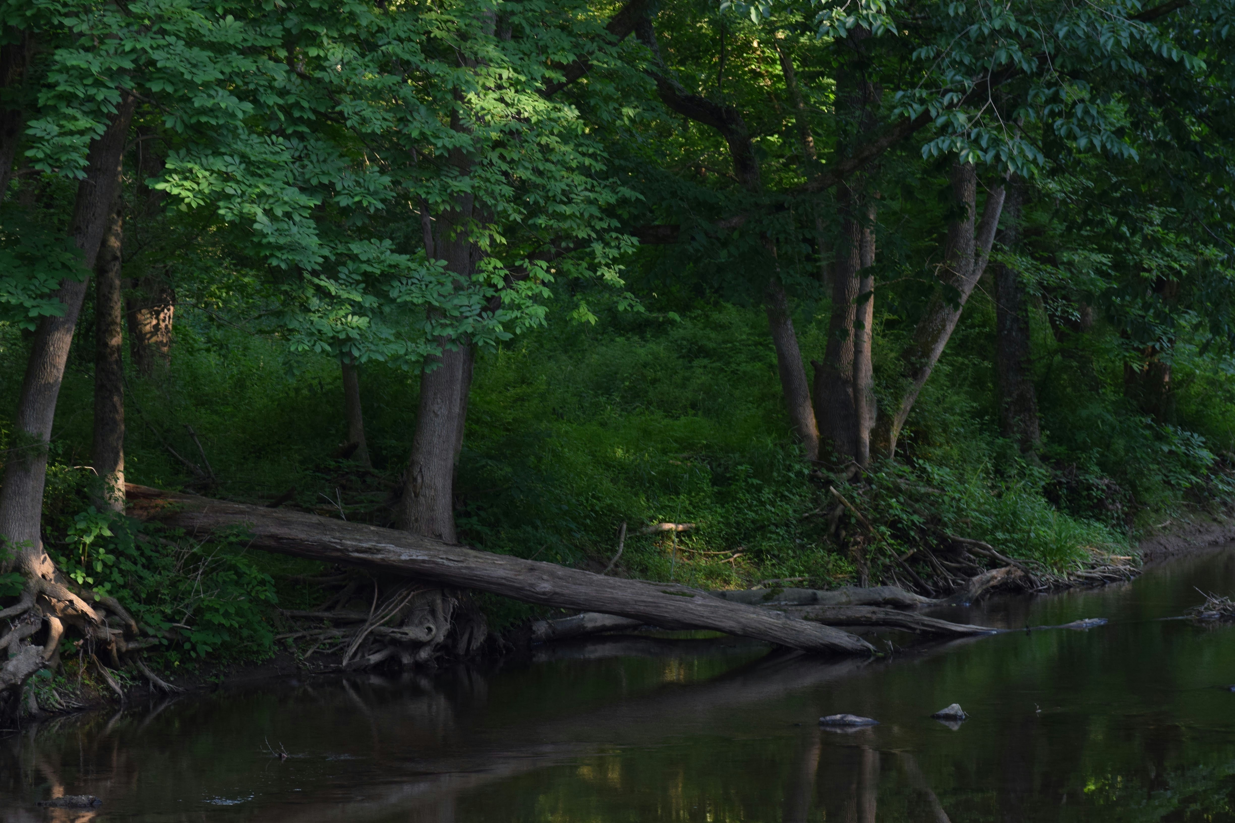 Clay Creek state park in Delaware.