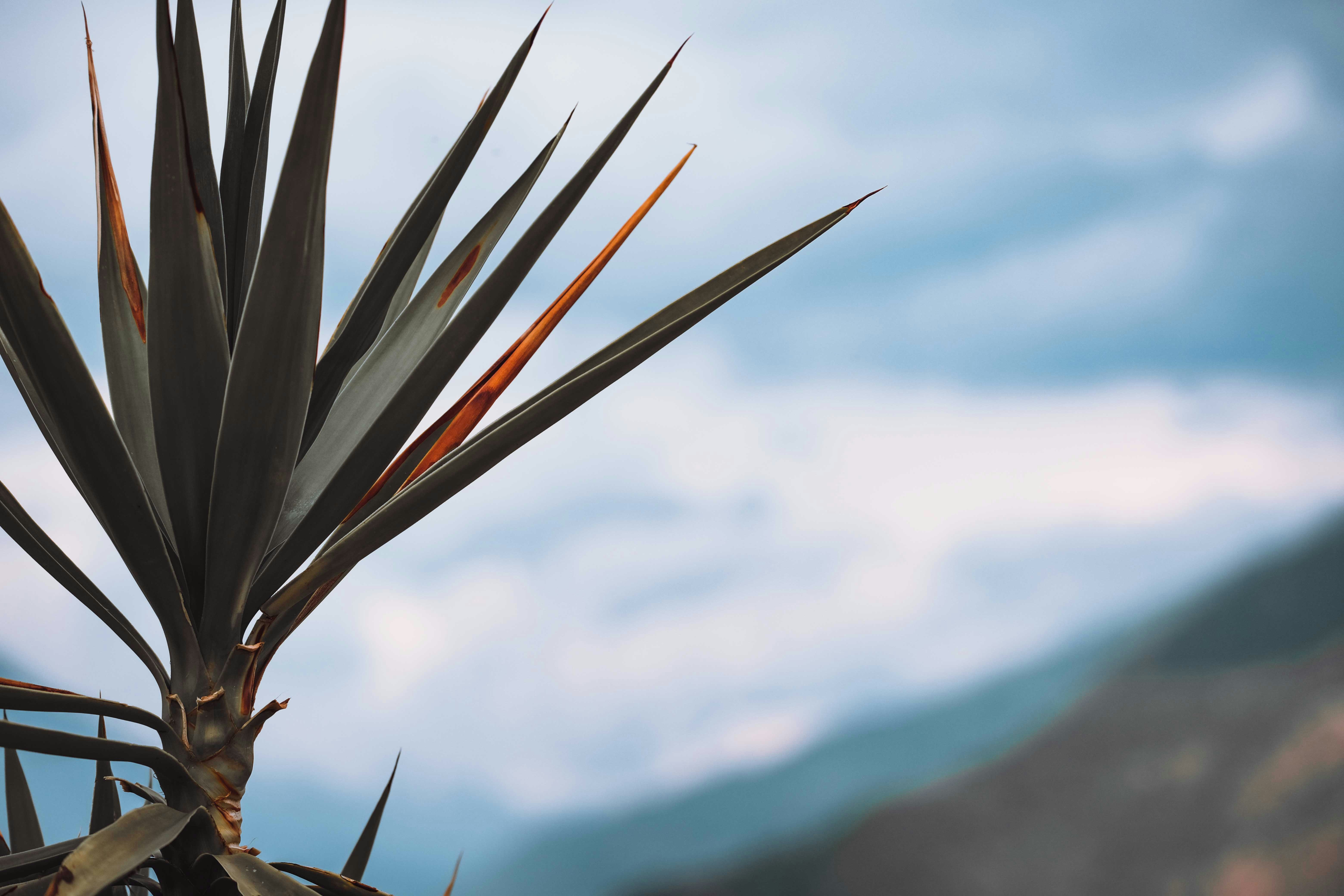 Photo by francesco_ungaro