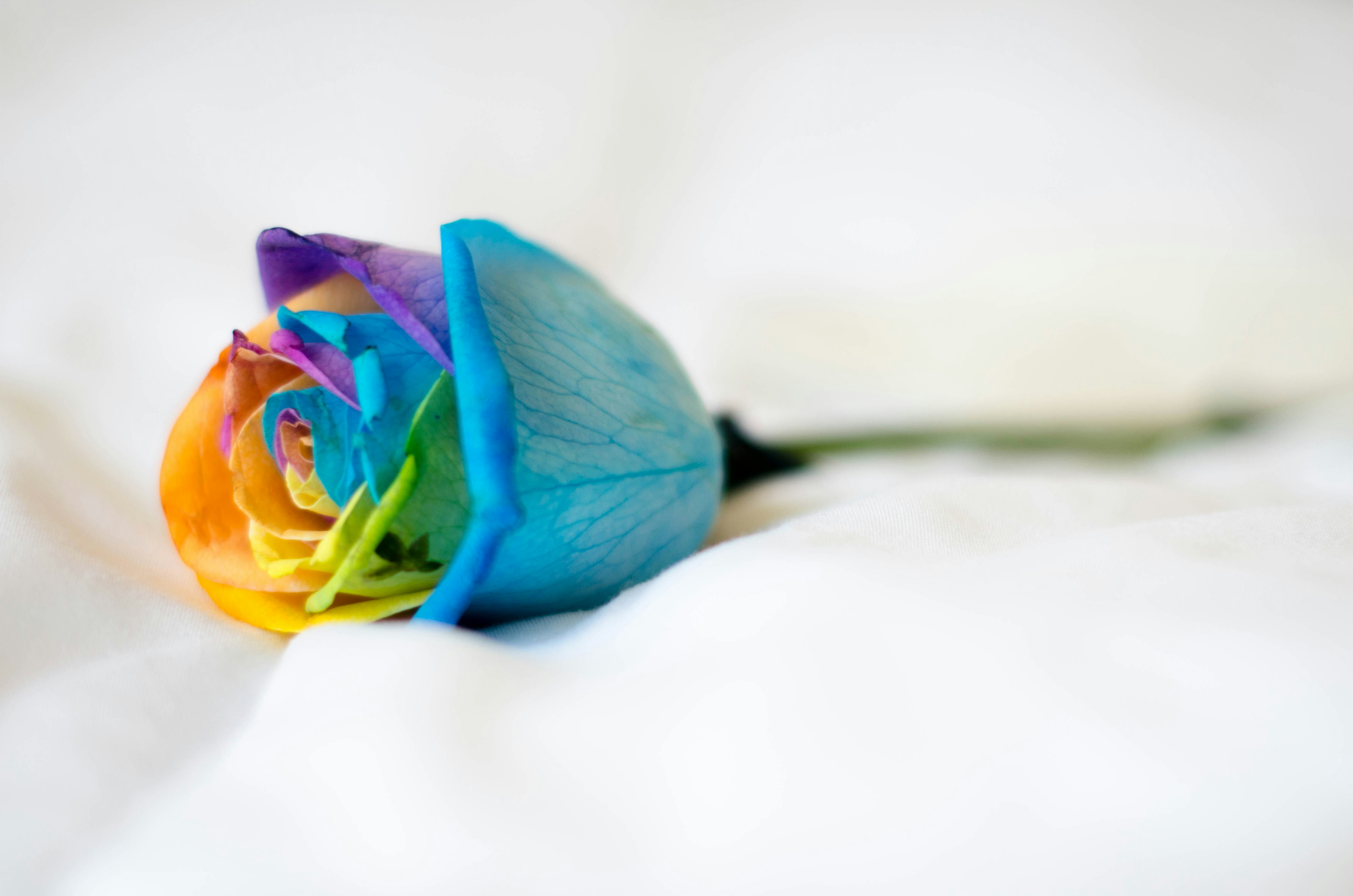 Transgender Day of Remembrance: Heartfelt Wishes to Honor
