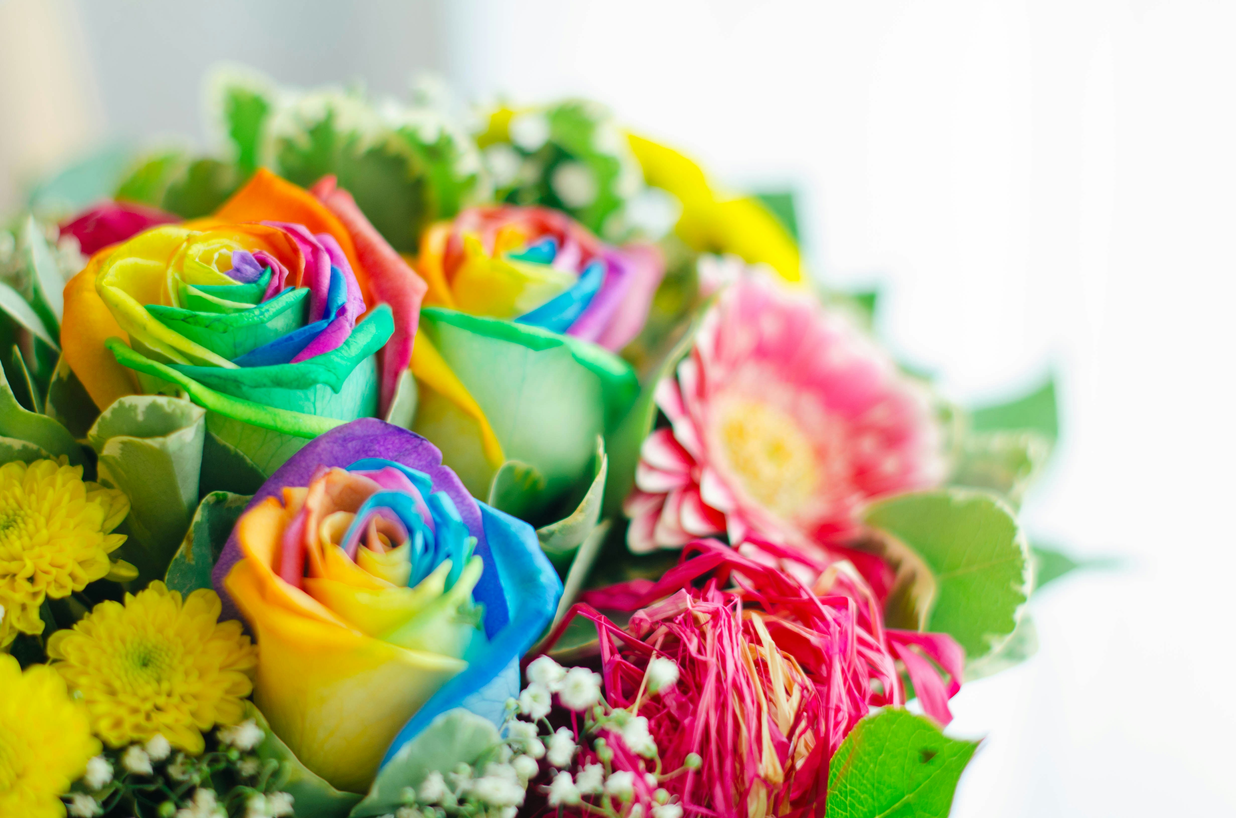 Tirdad and Michelle - Love Without Measure Founders