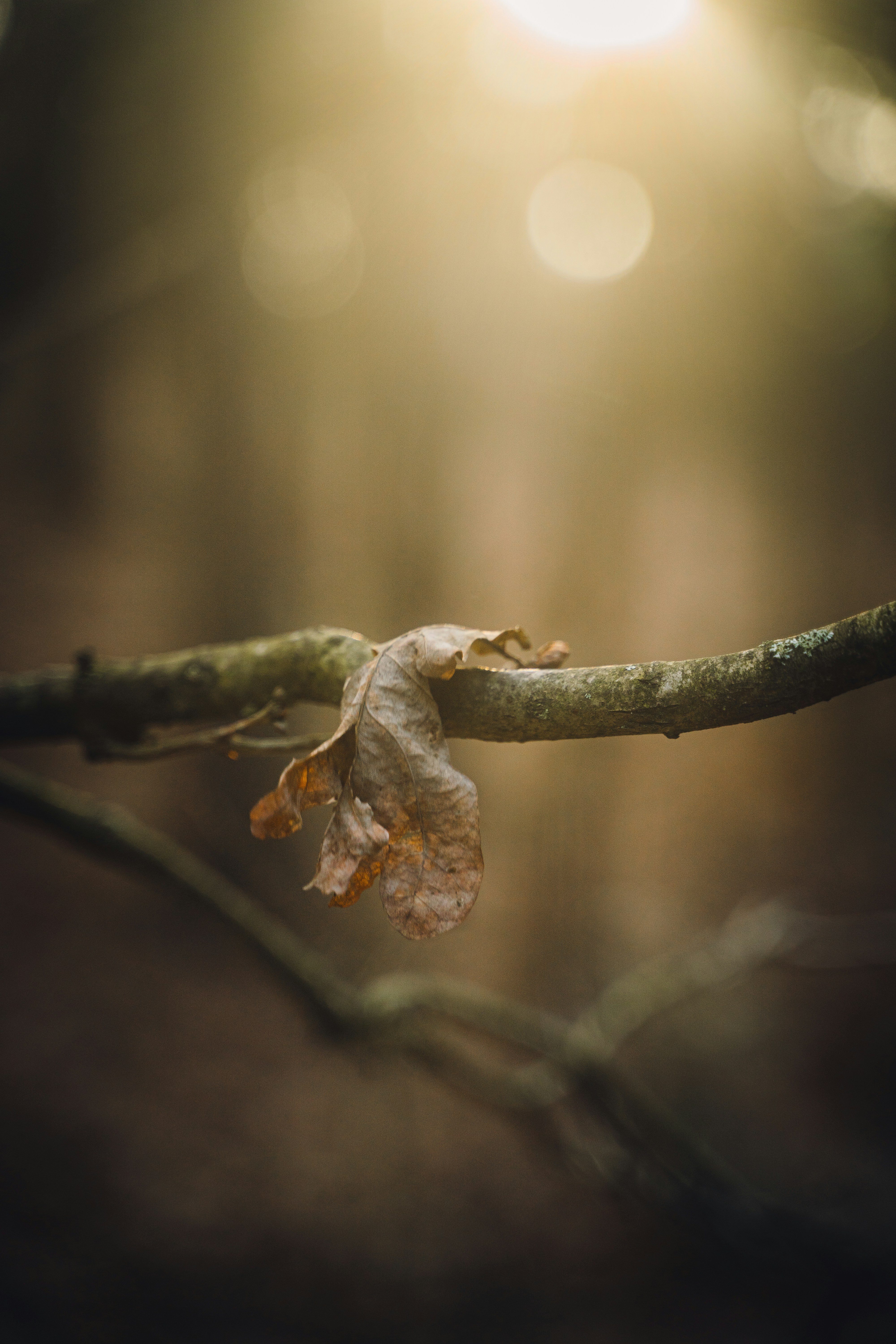 Photo by moritzlange