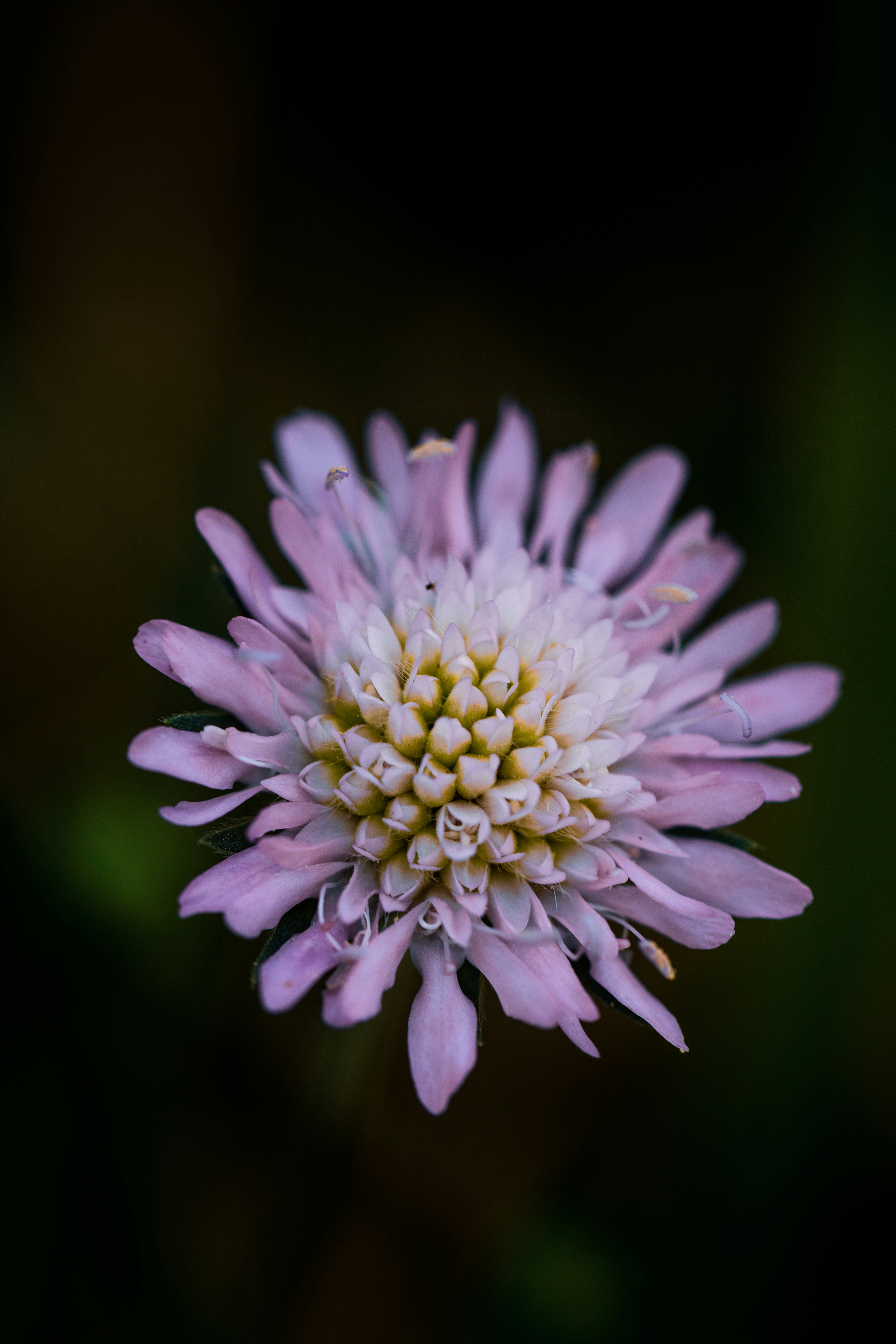 Photo by grievek1610begur