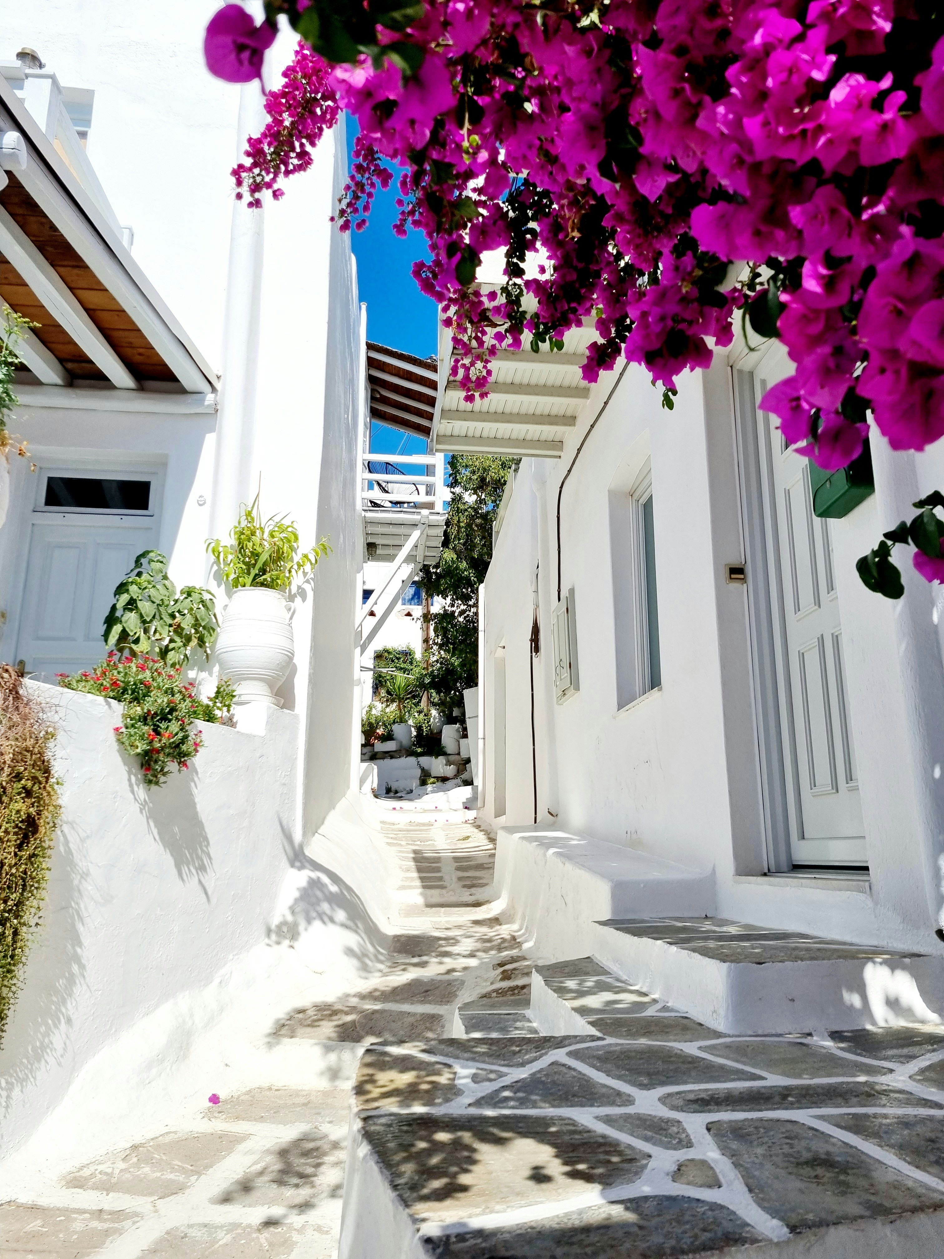 Photo by jaybeedesign