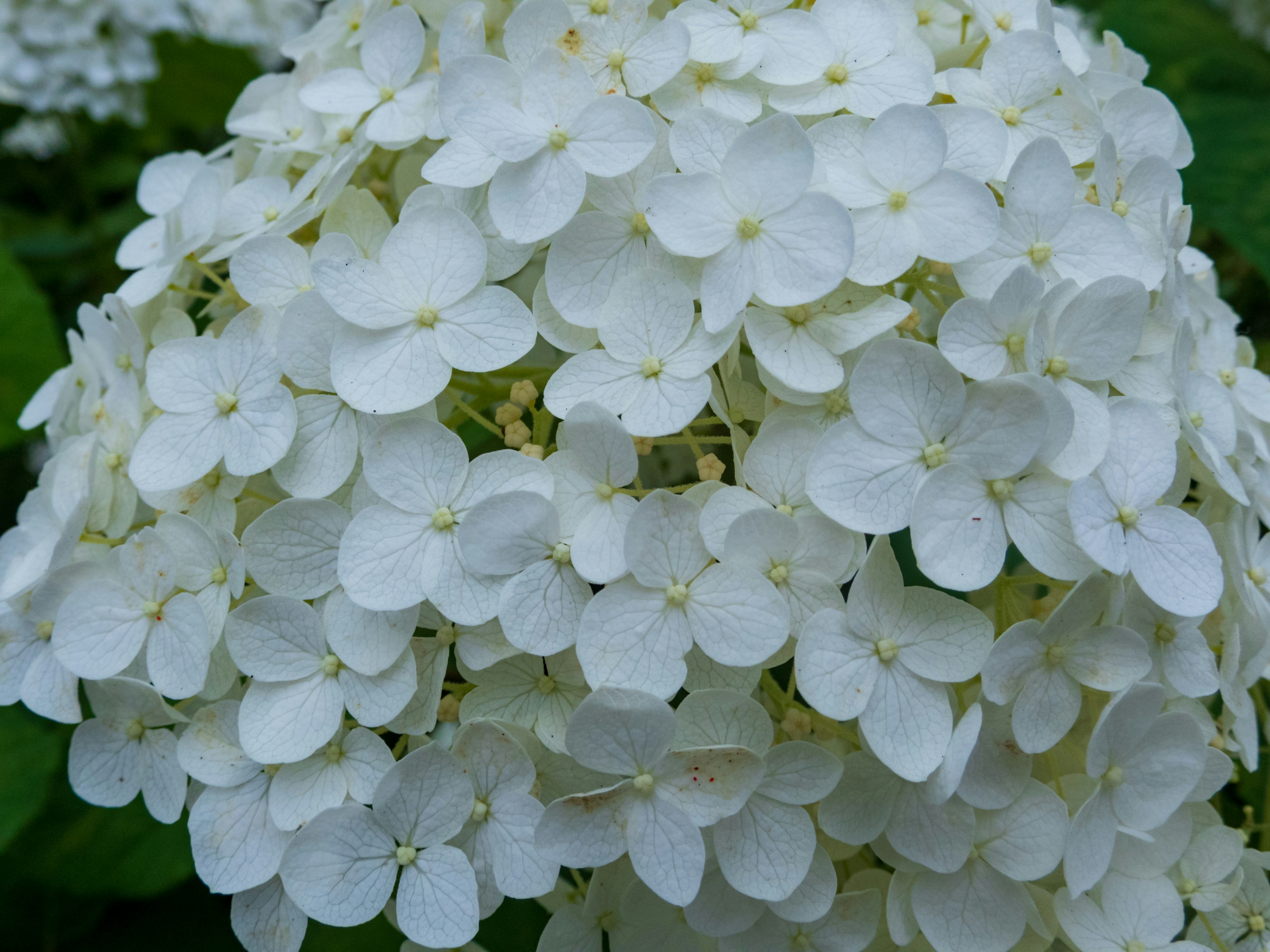 Photo by heppoko_yama