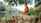 A person in an orange robe sits peacefully on a grassy riverbank, surrounded by lush greenery and rocks. The serene river reflects the trees, creating a calm and tranquil atmosphere. The individual appears to be meditating, embodying a sense of calmness and introspection.