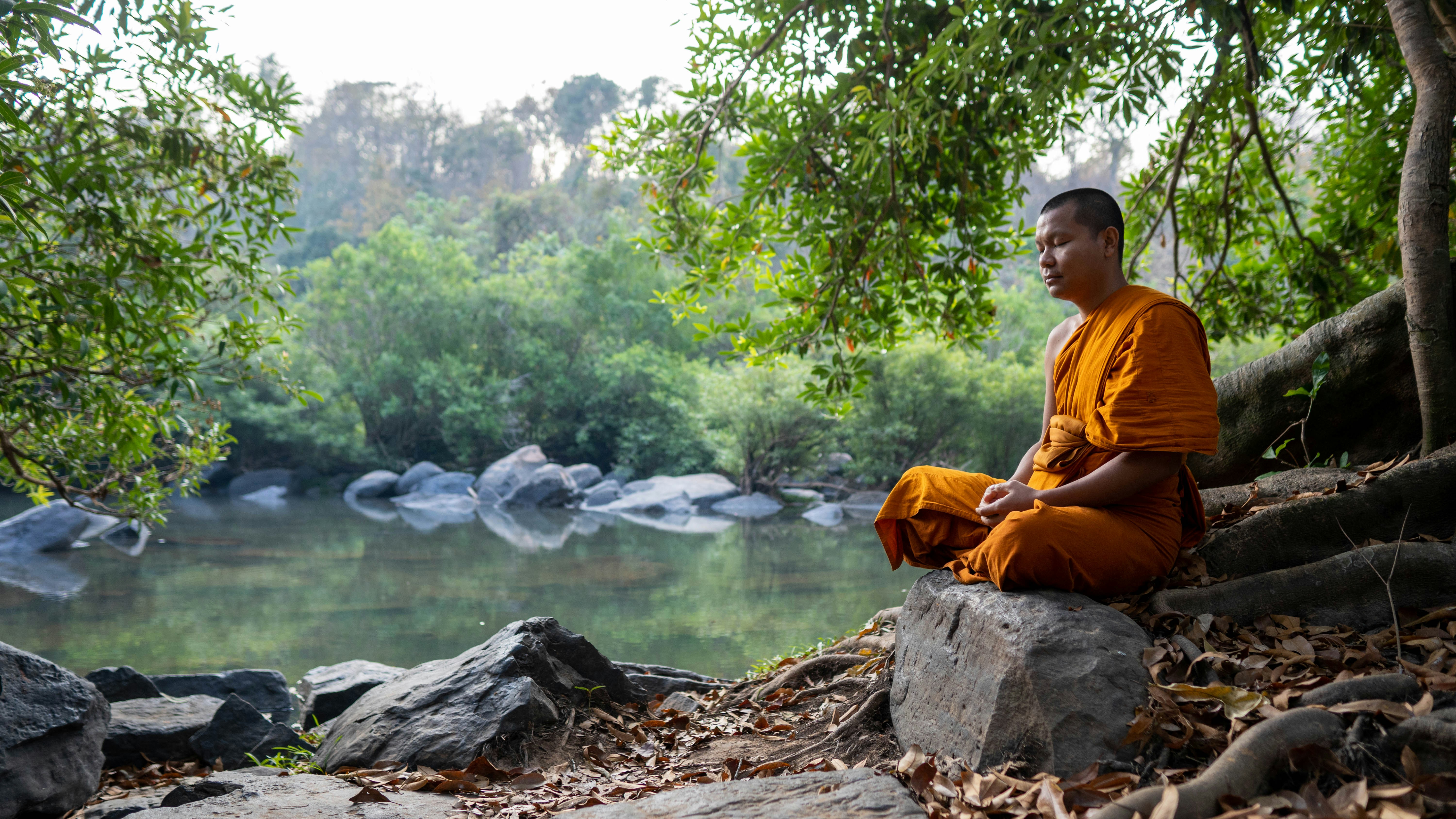 Buddhist monk meditation