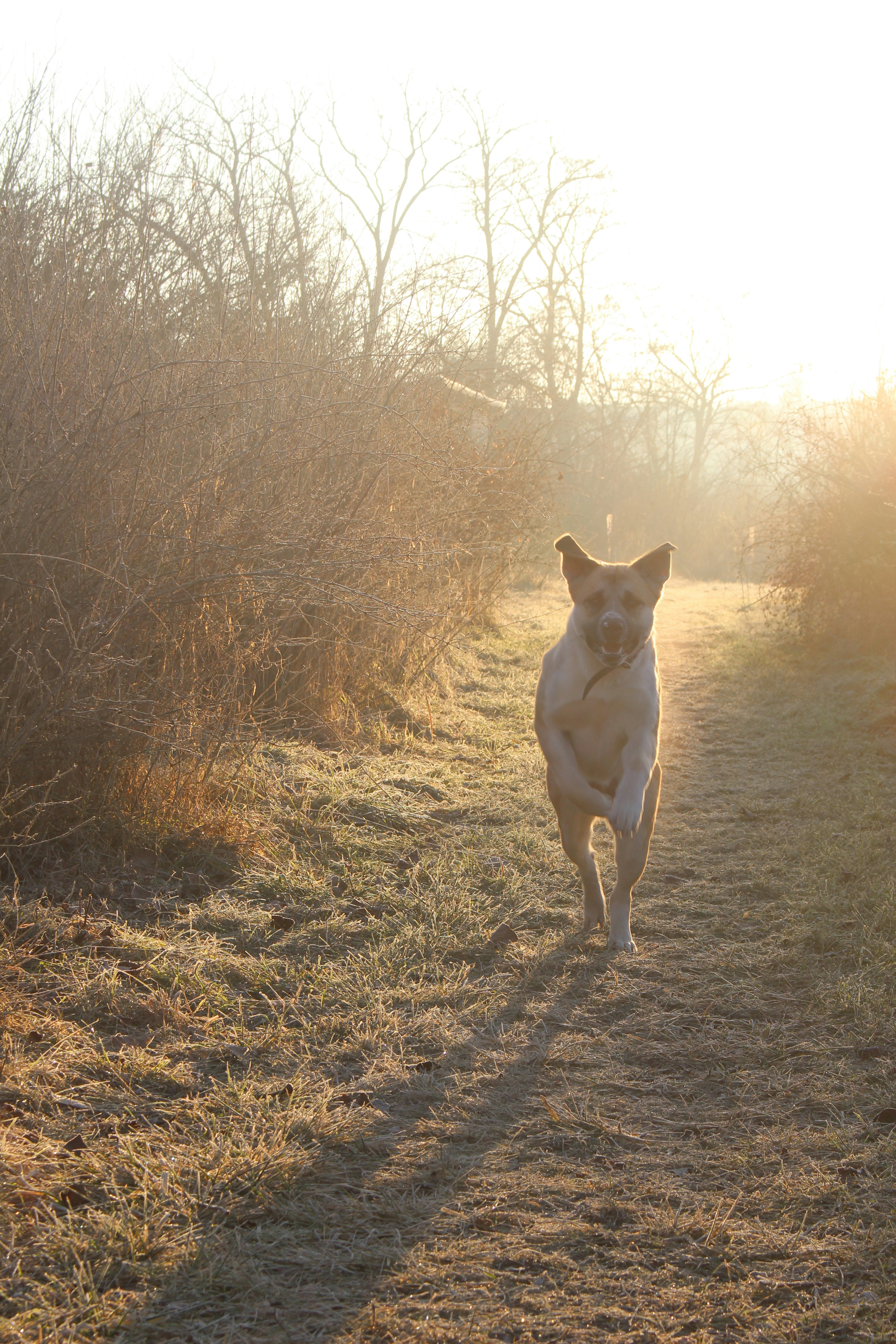 Photo by marjorylucabaxter