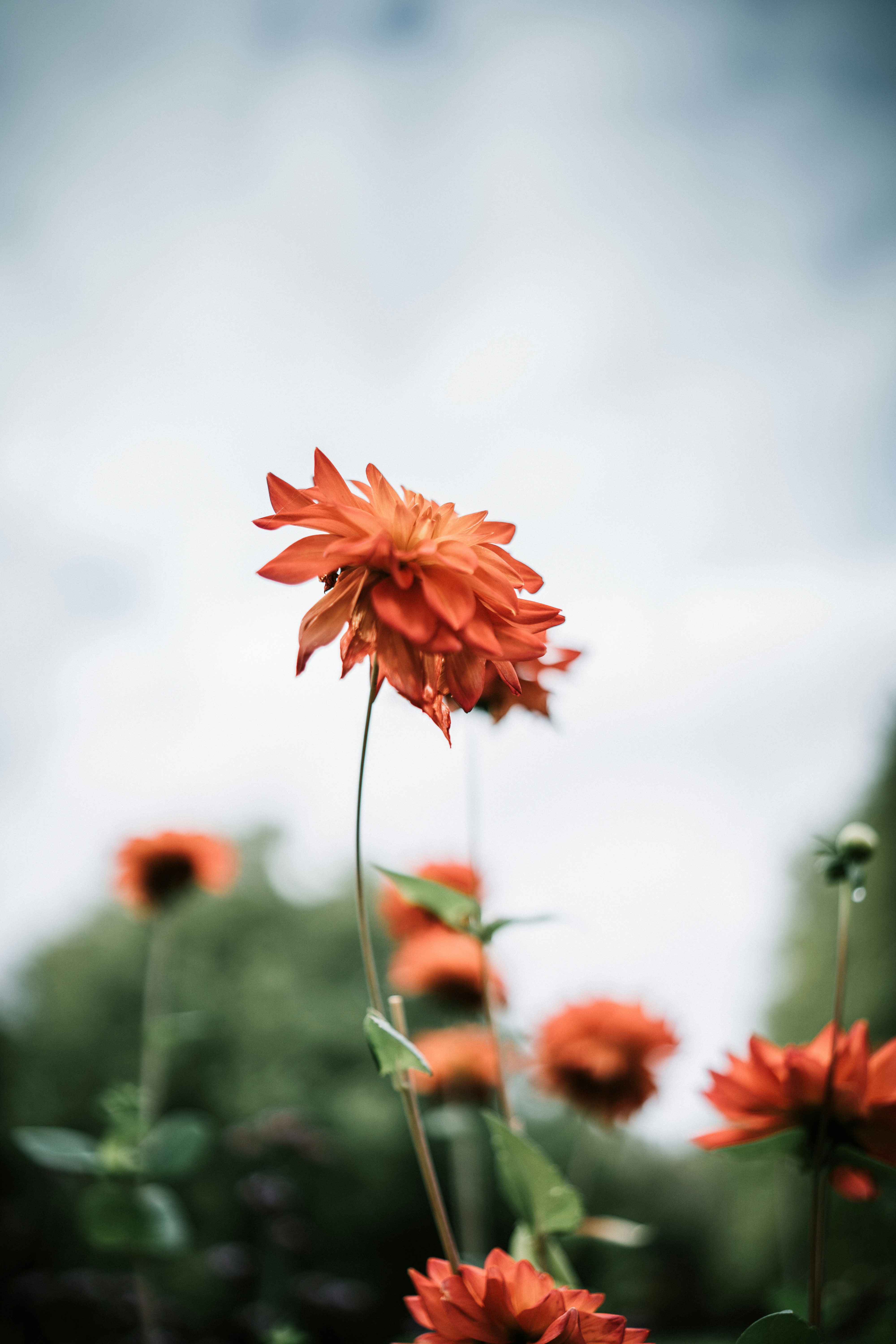 Photo by omarvellous14