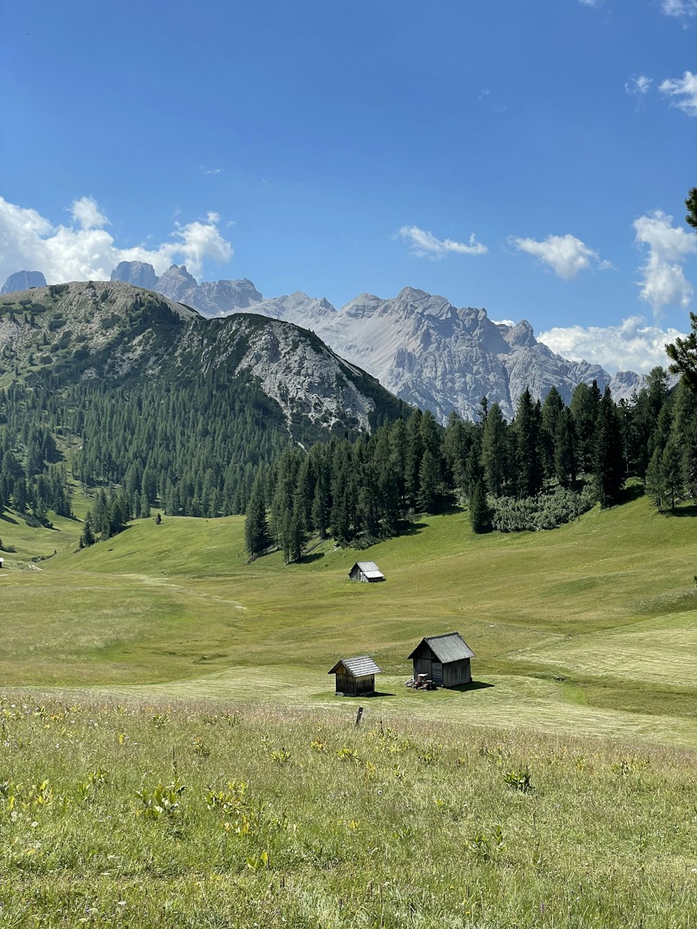 a grassy field with small buildings and trees in the background