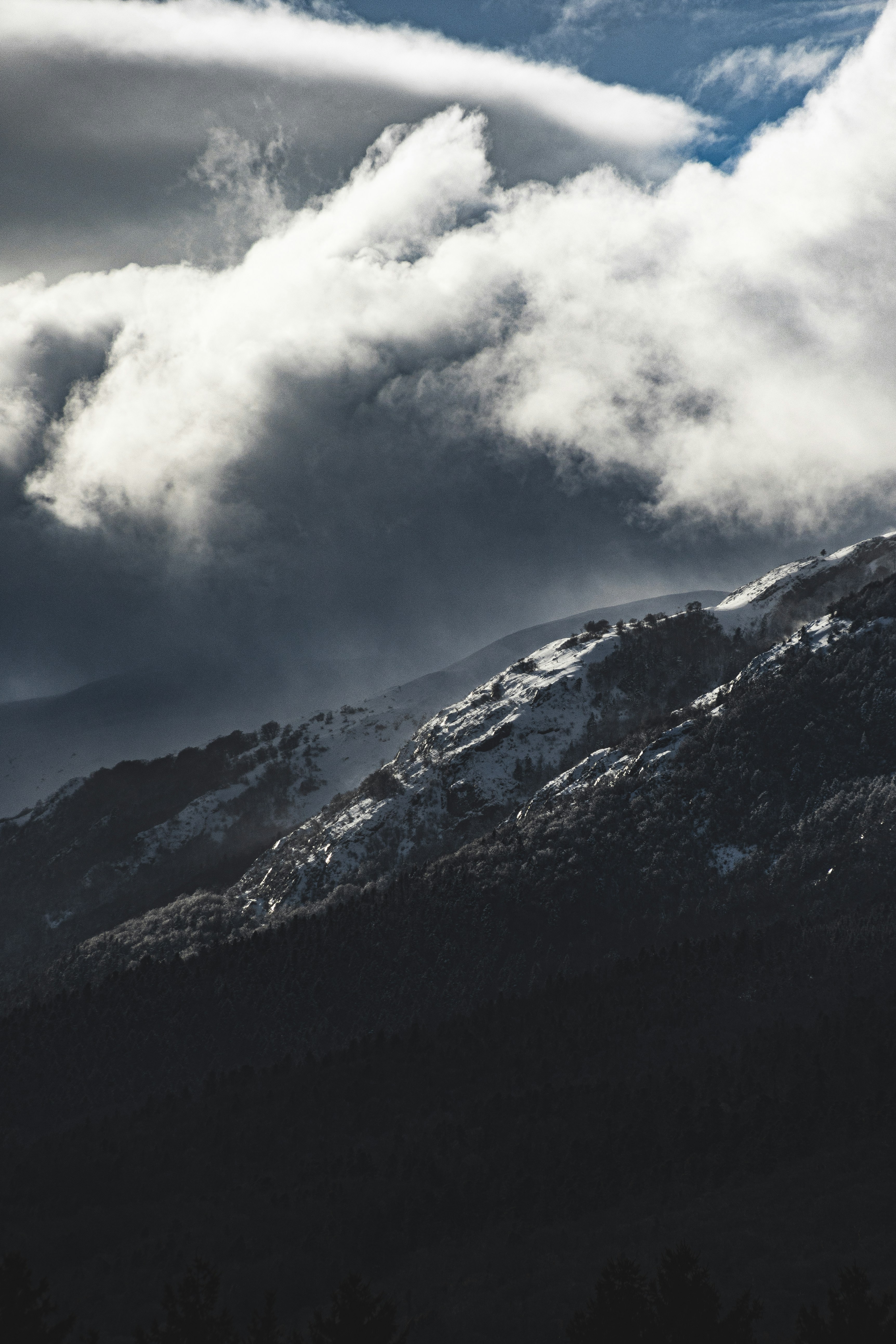 Photo by yigitarisoy