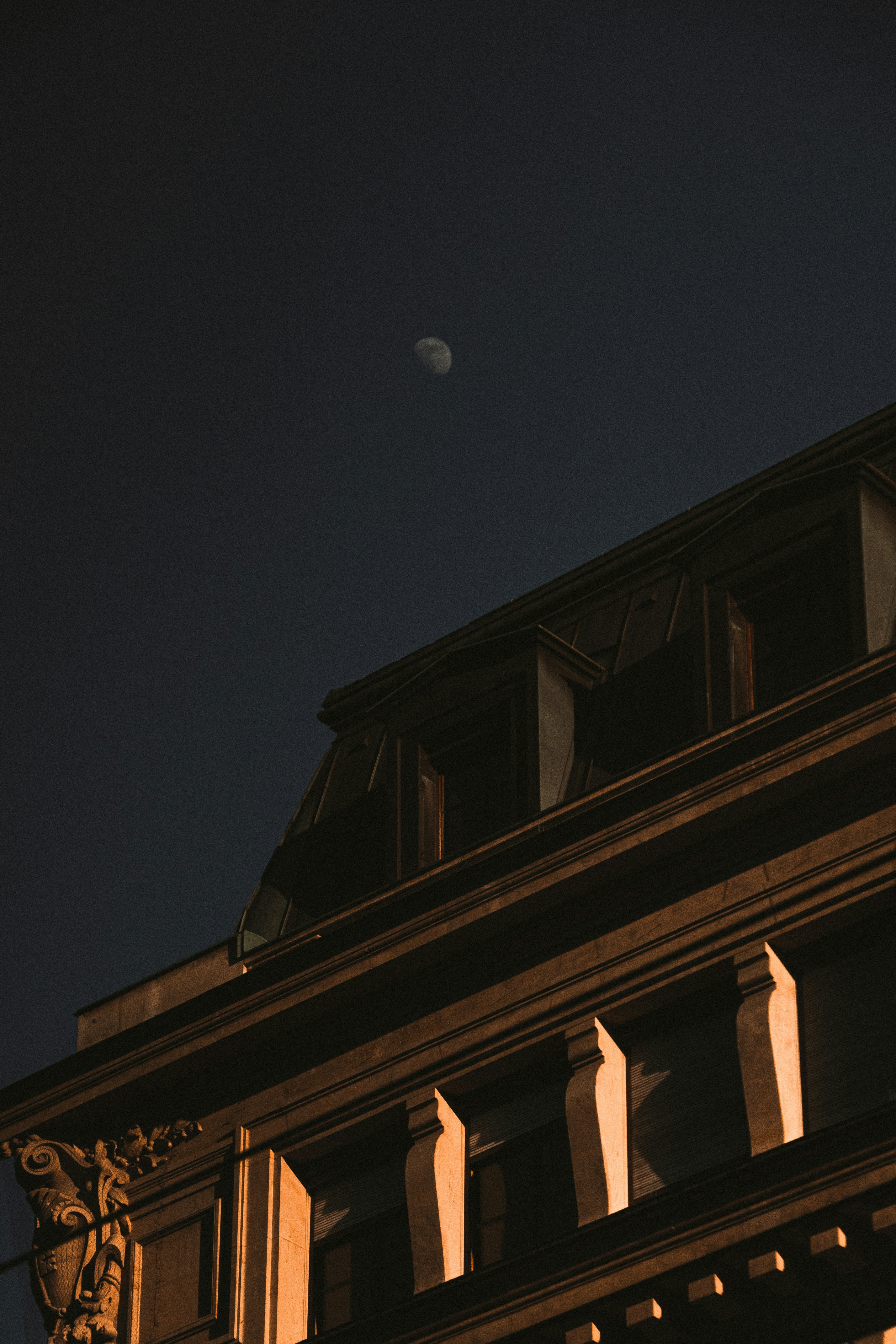 Photo by yigitarisoy