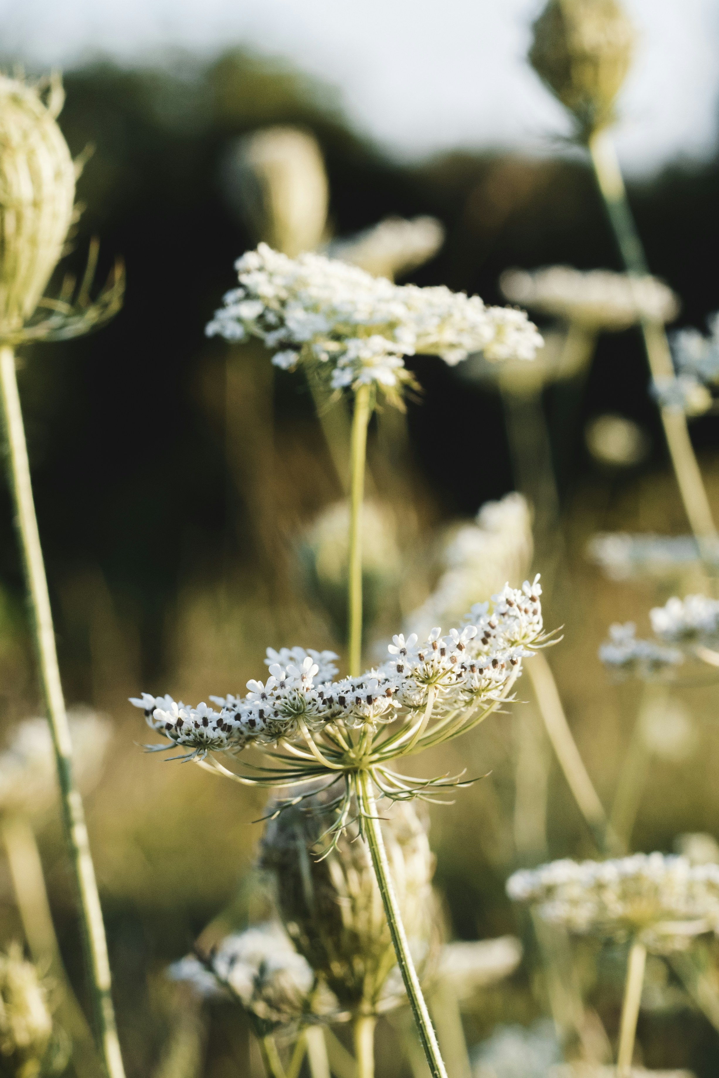 Photo by mikulecmichal