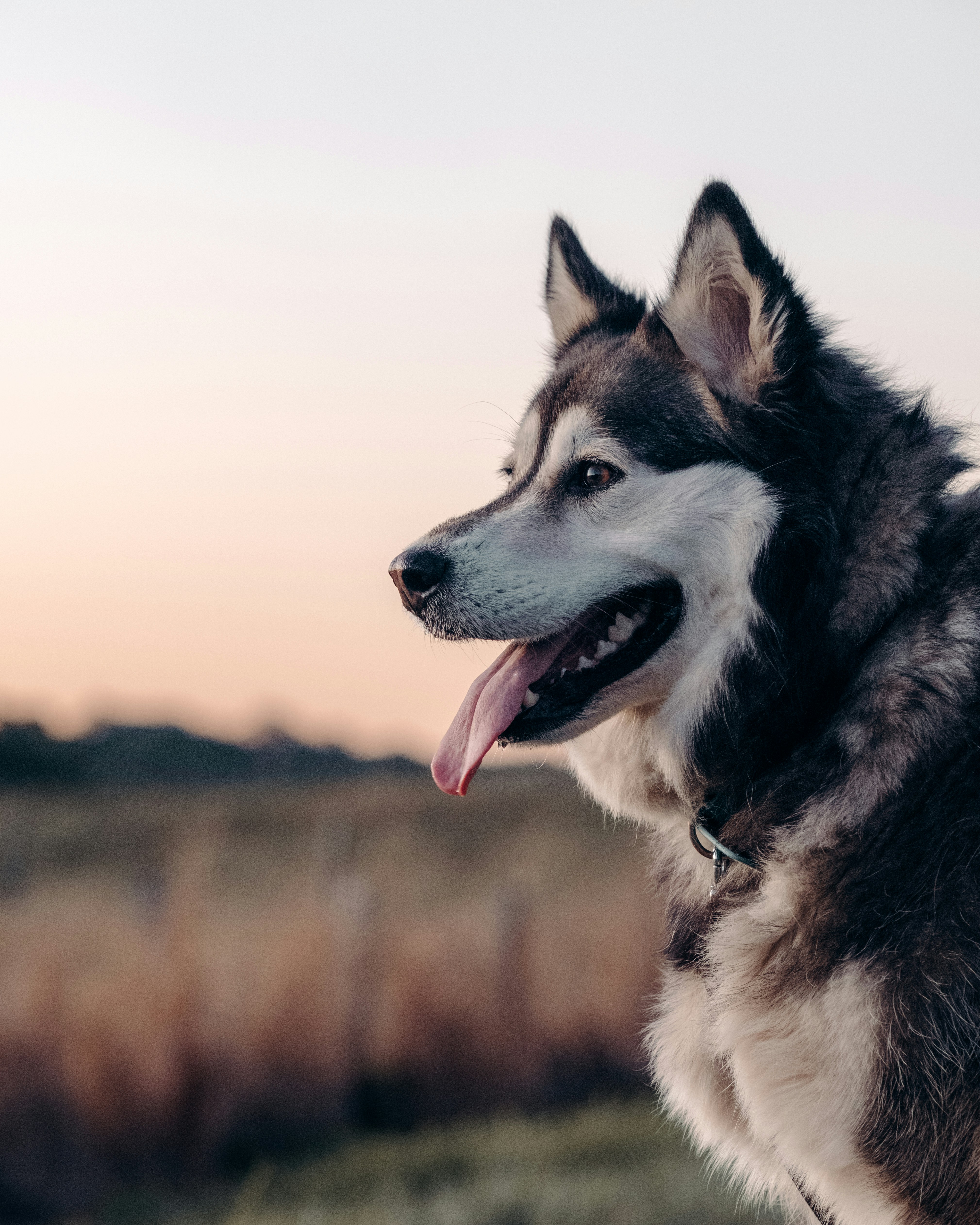 Photo by stclairejames