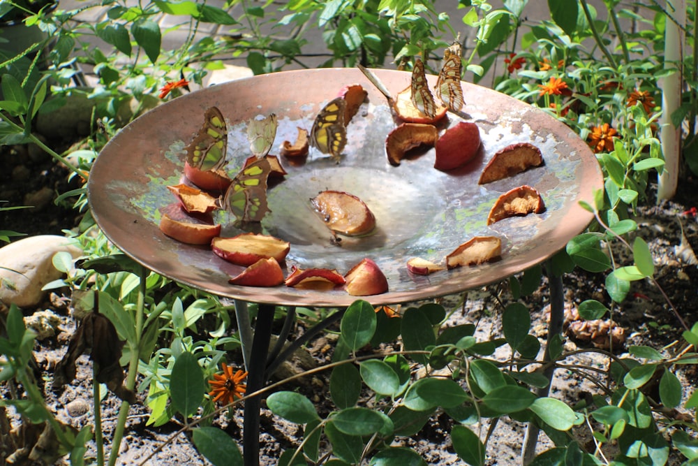 a round metal dish with food in it surrounded by plants