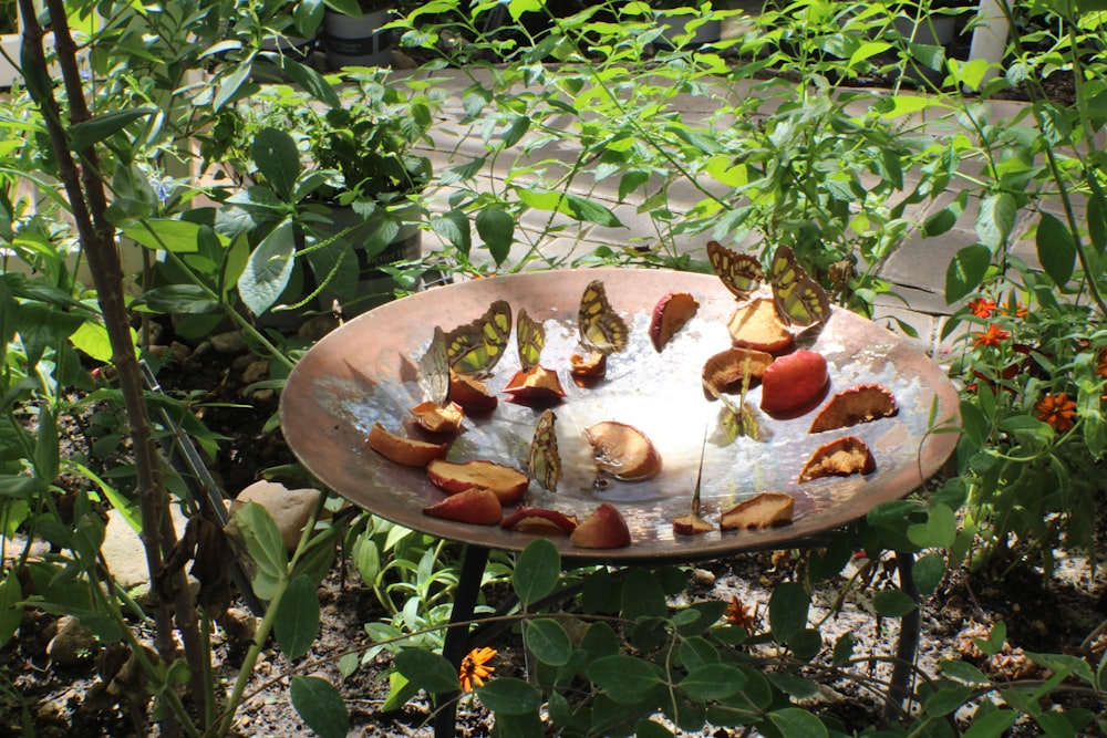 a plate of food