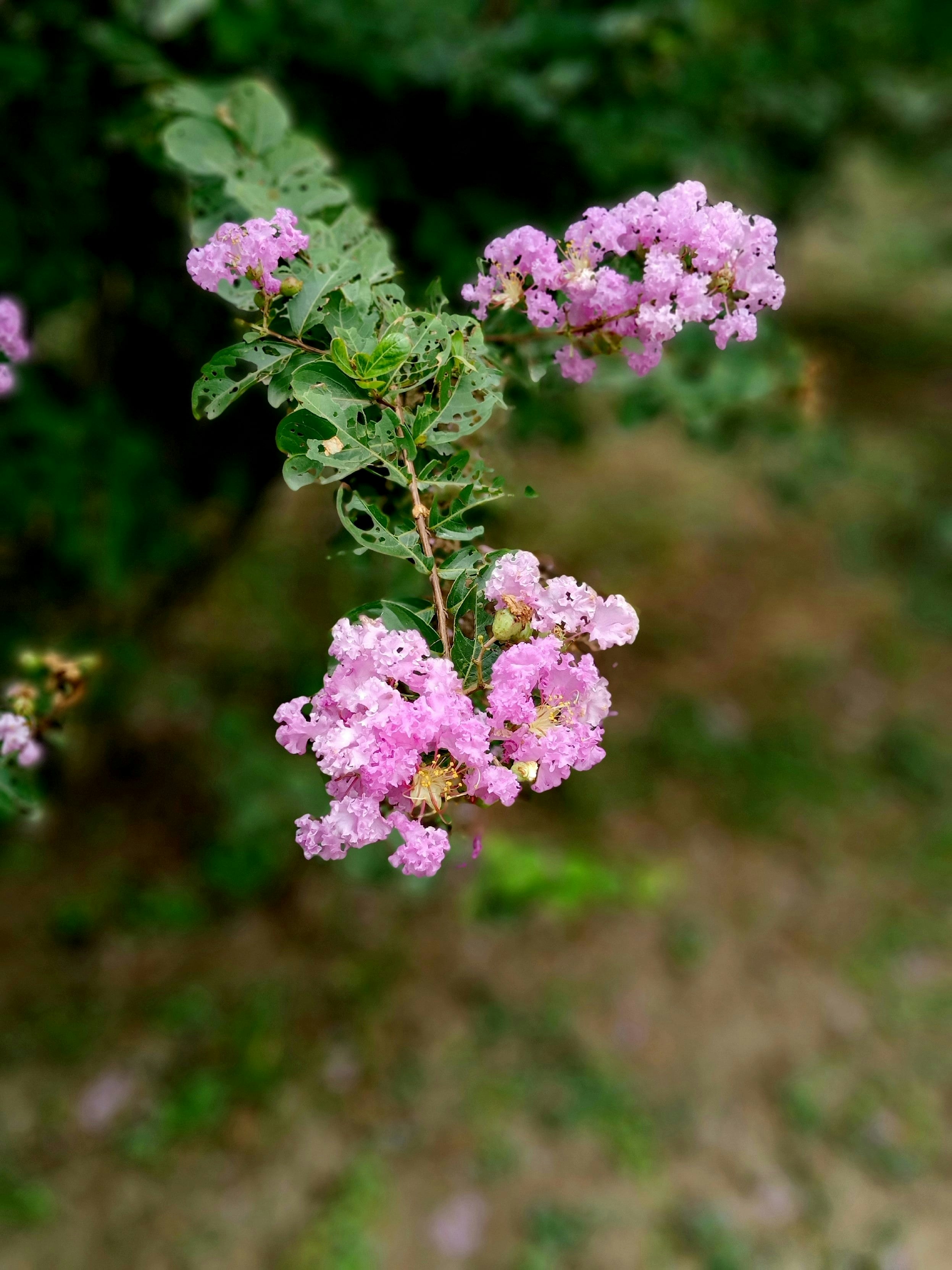 Photo by sahejsmarwah