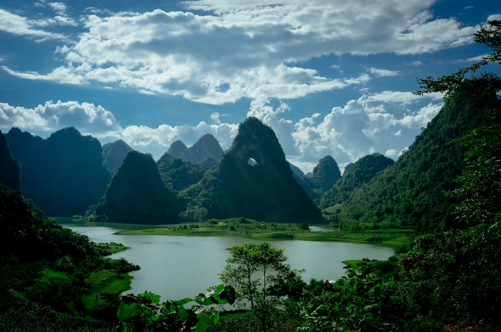 Li River surrounded by trees and mountains