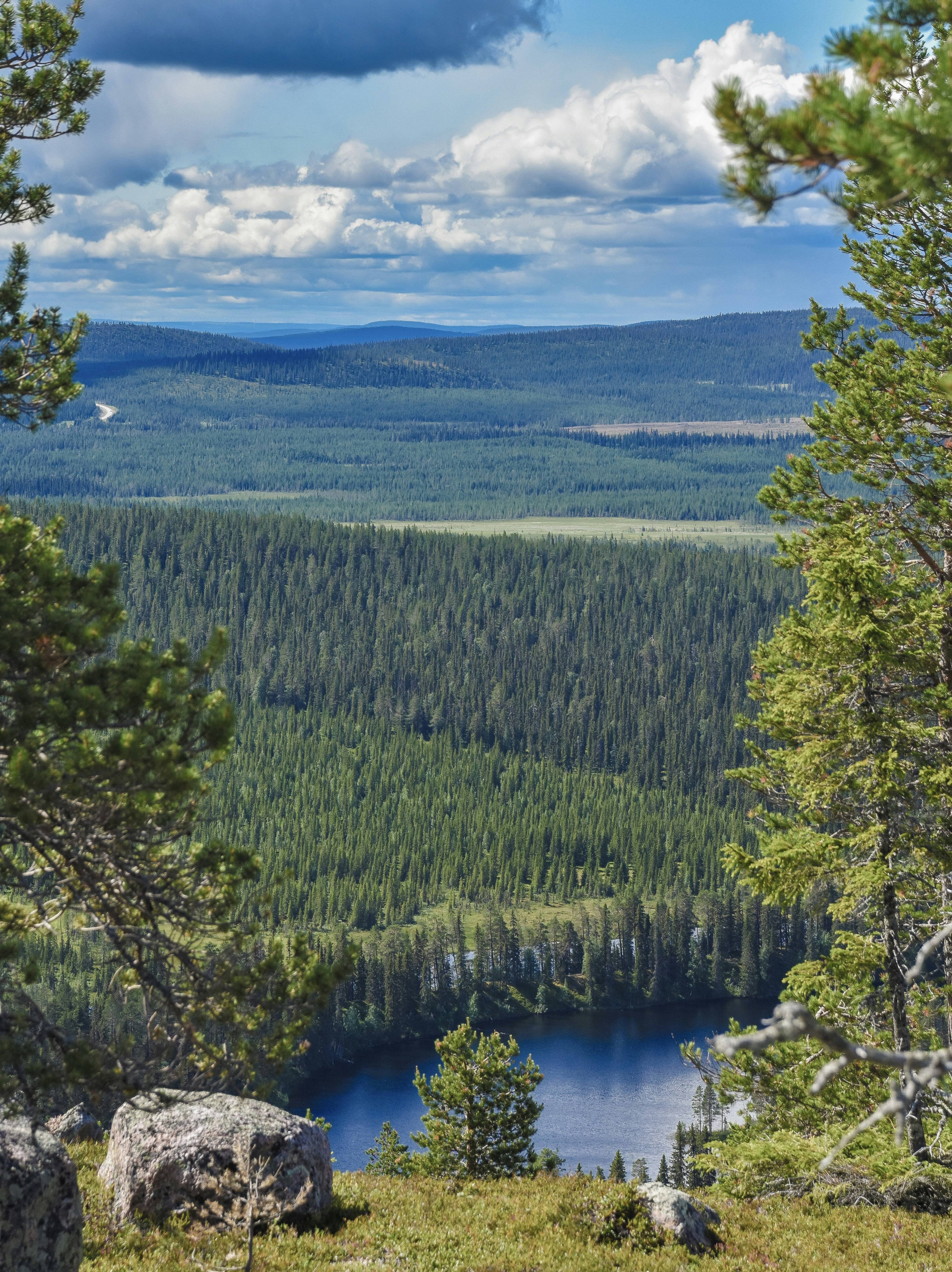 Photo by niklasjonasson