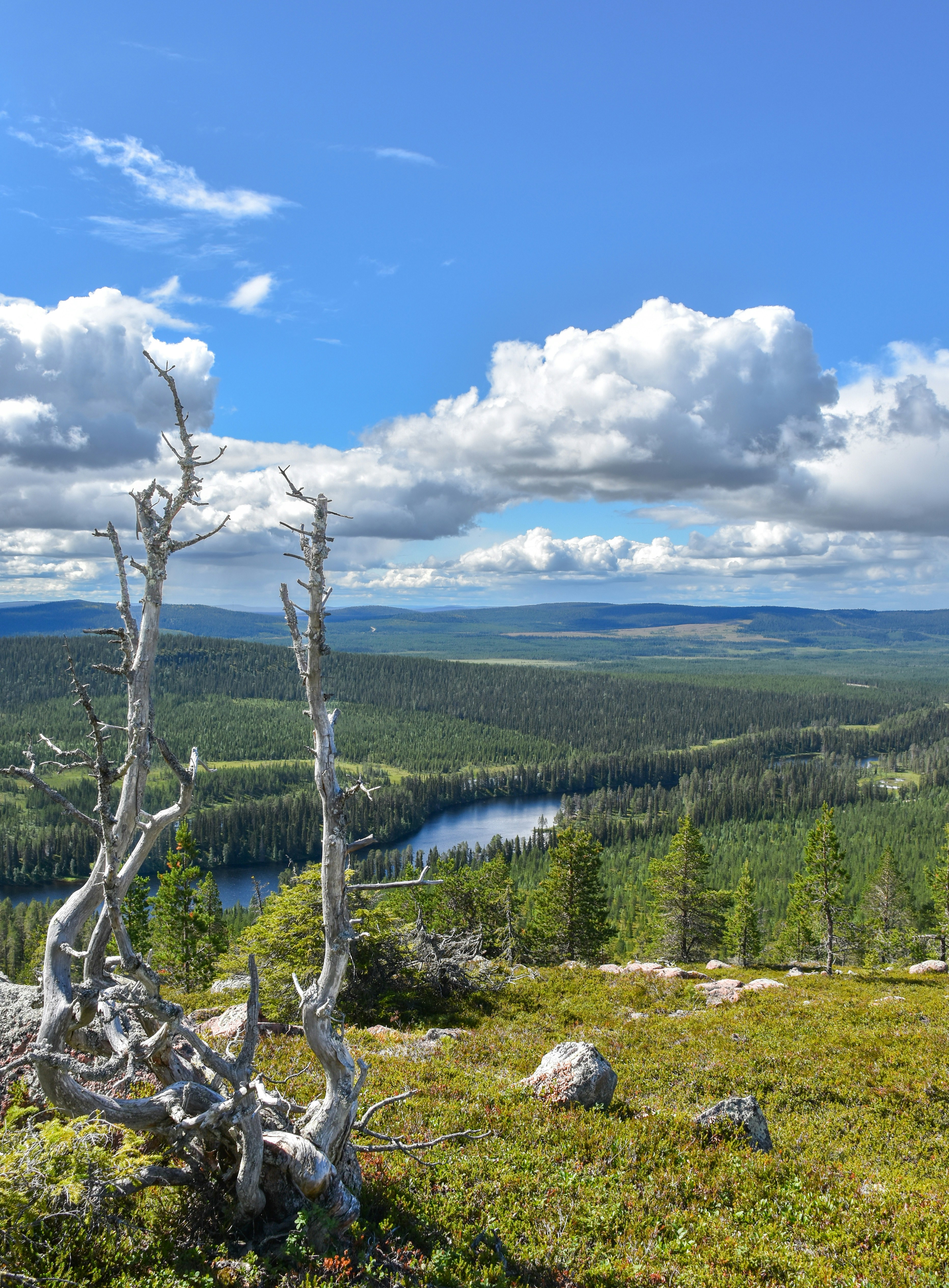 Photo by niklasjonasson