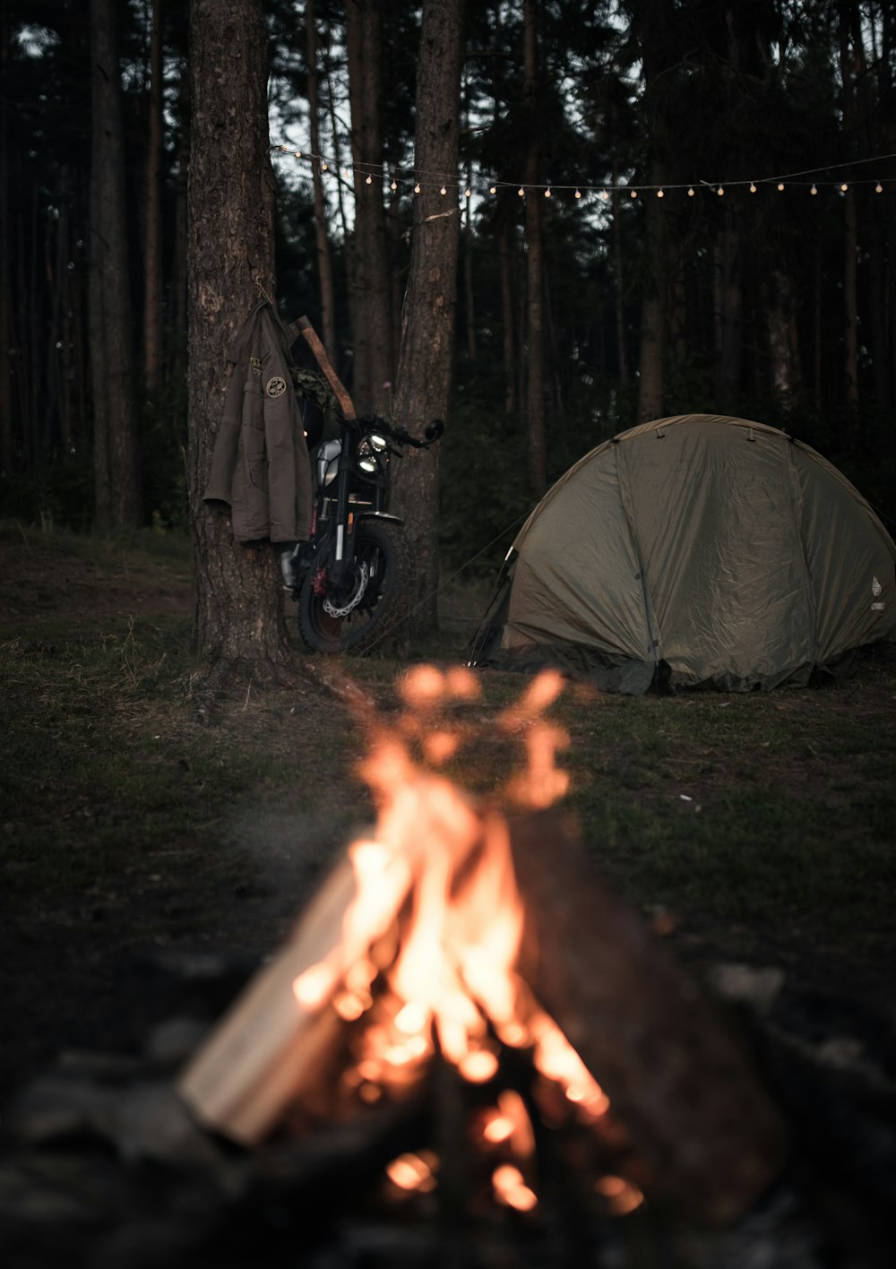 a campfire in the woods