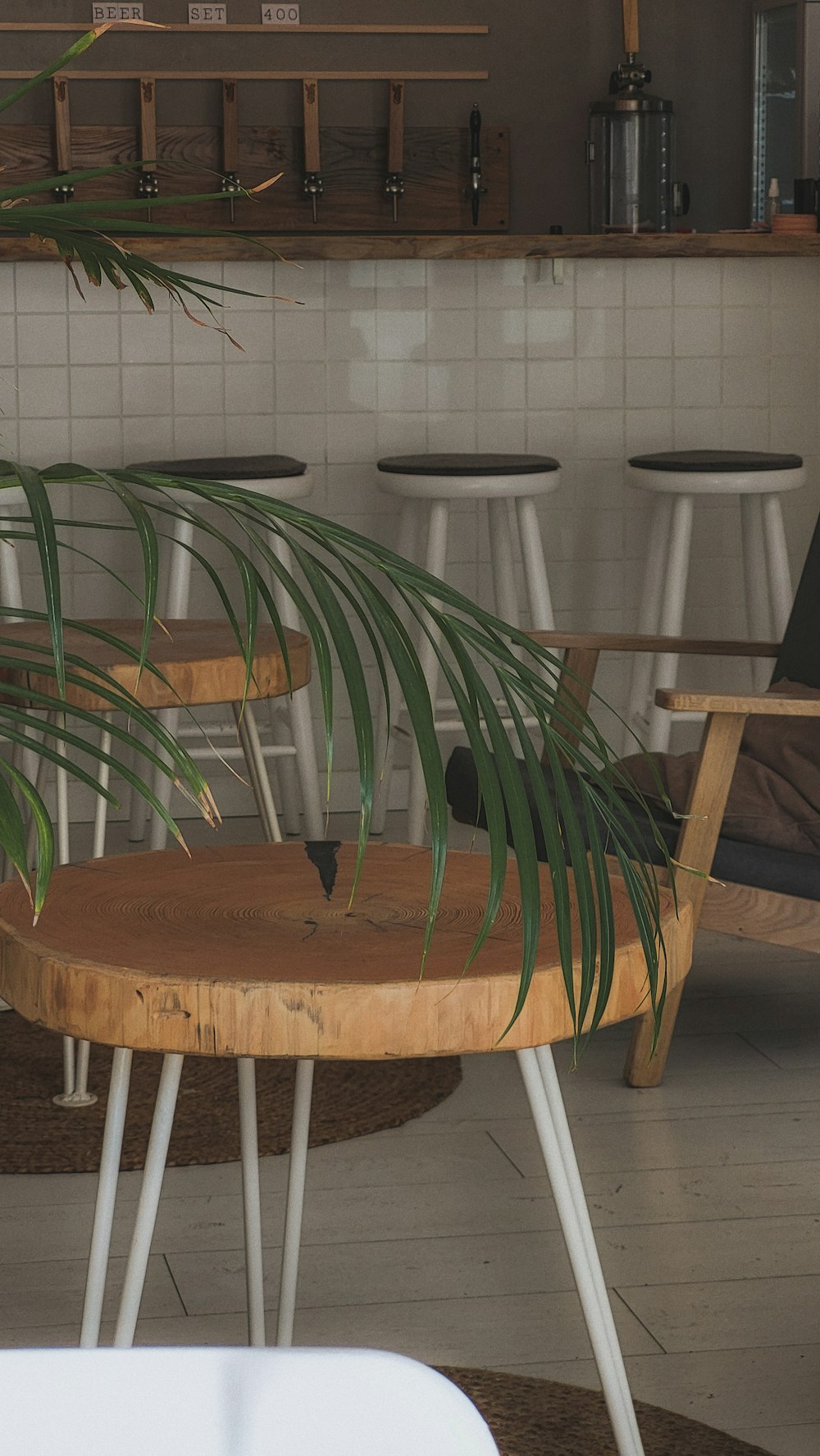 une table avec des chaises et une plante