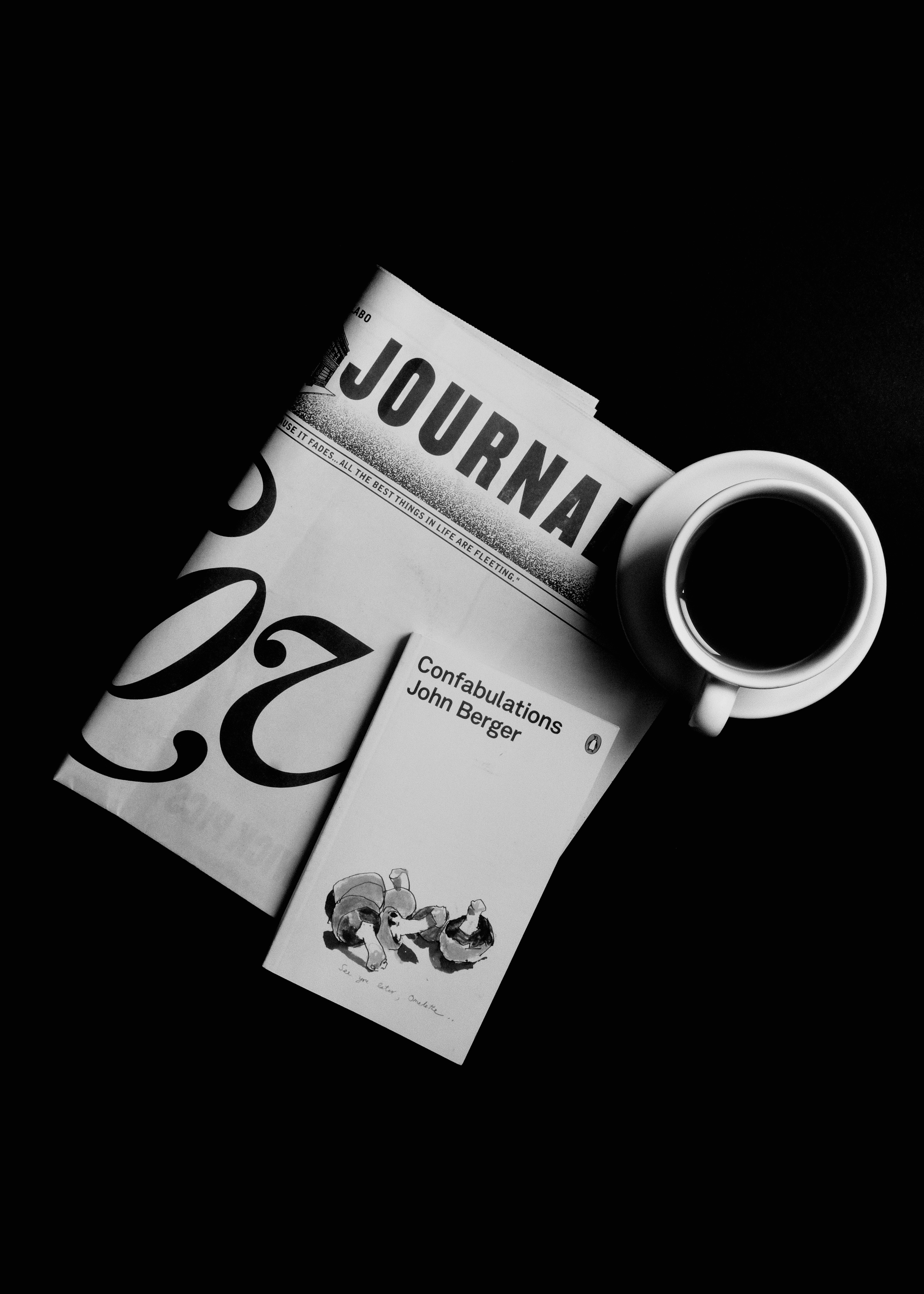 How to Launch a Profitable Pet Toy Subscription Box in 2026