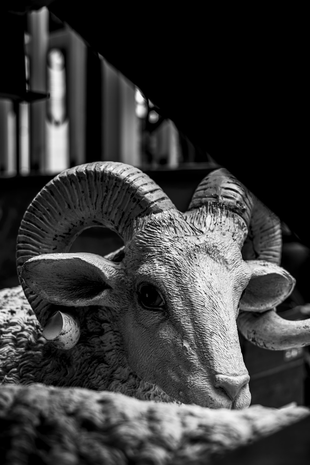 a ram with horns