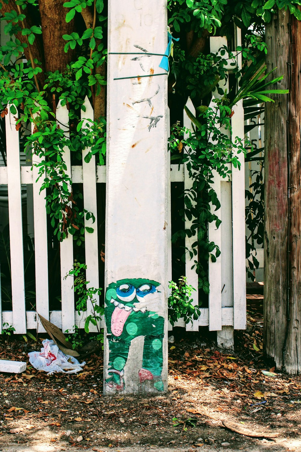 a tree with graffiti on it