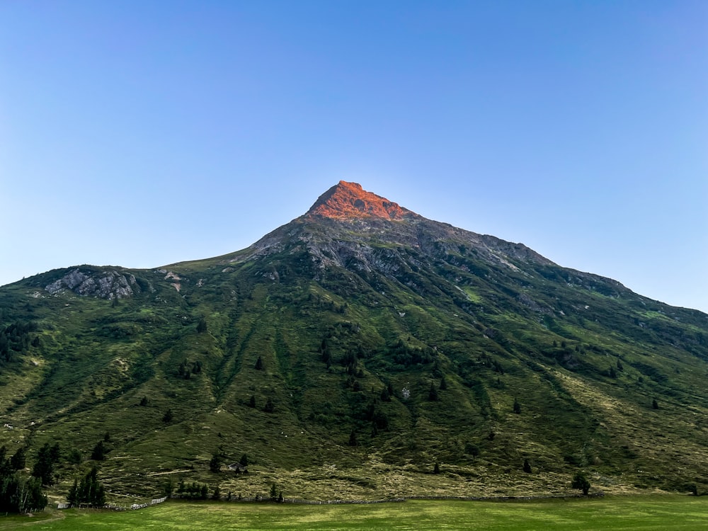 a mountain with trees and grass below