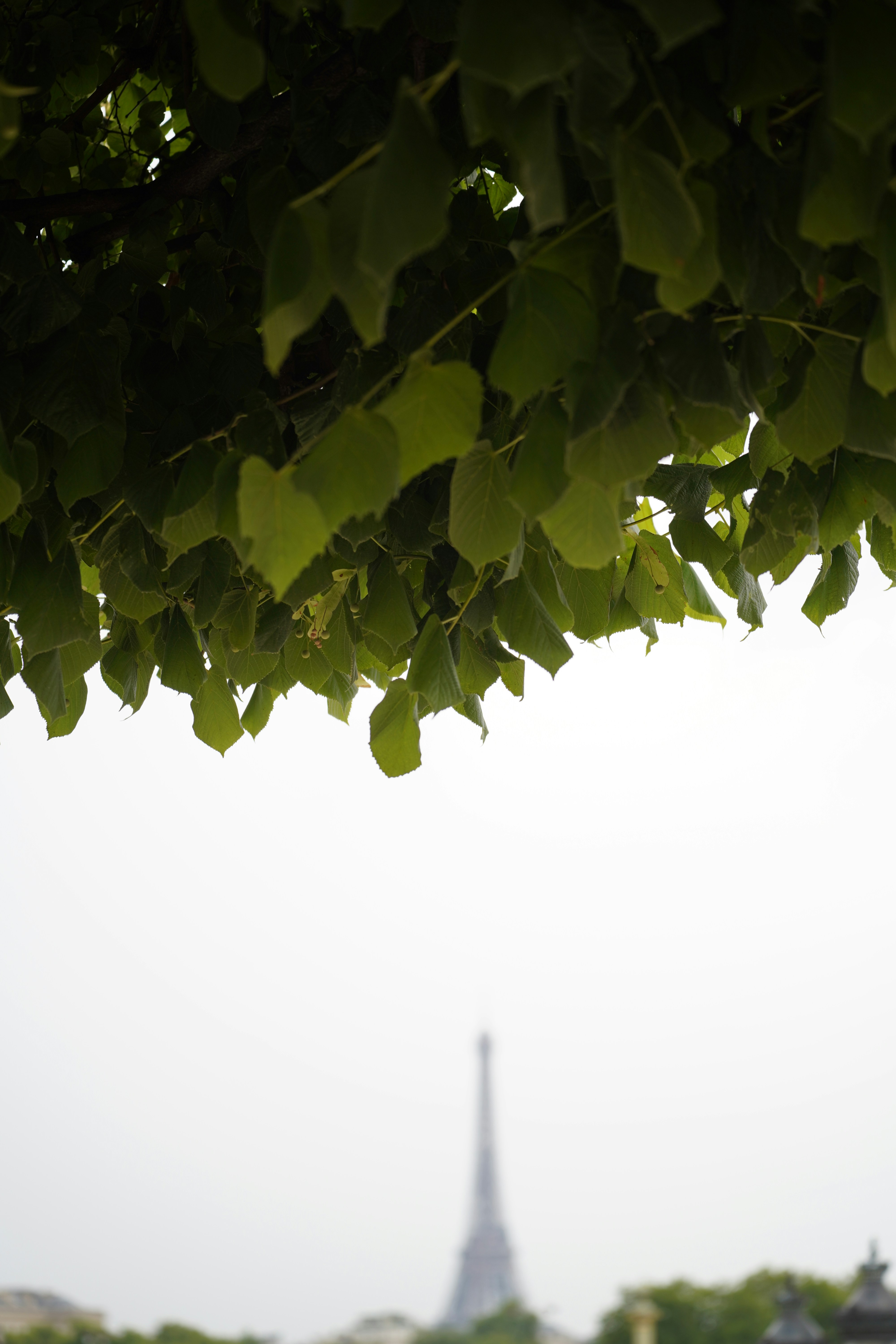 Photo by maartenvnmlct