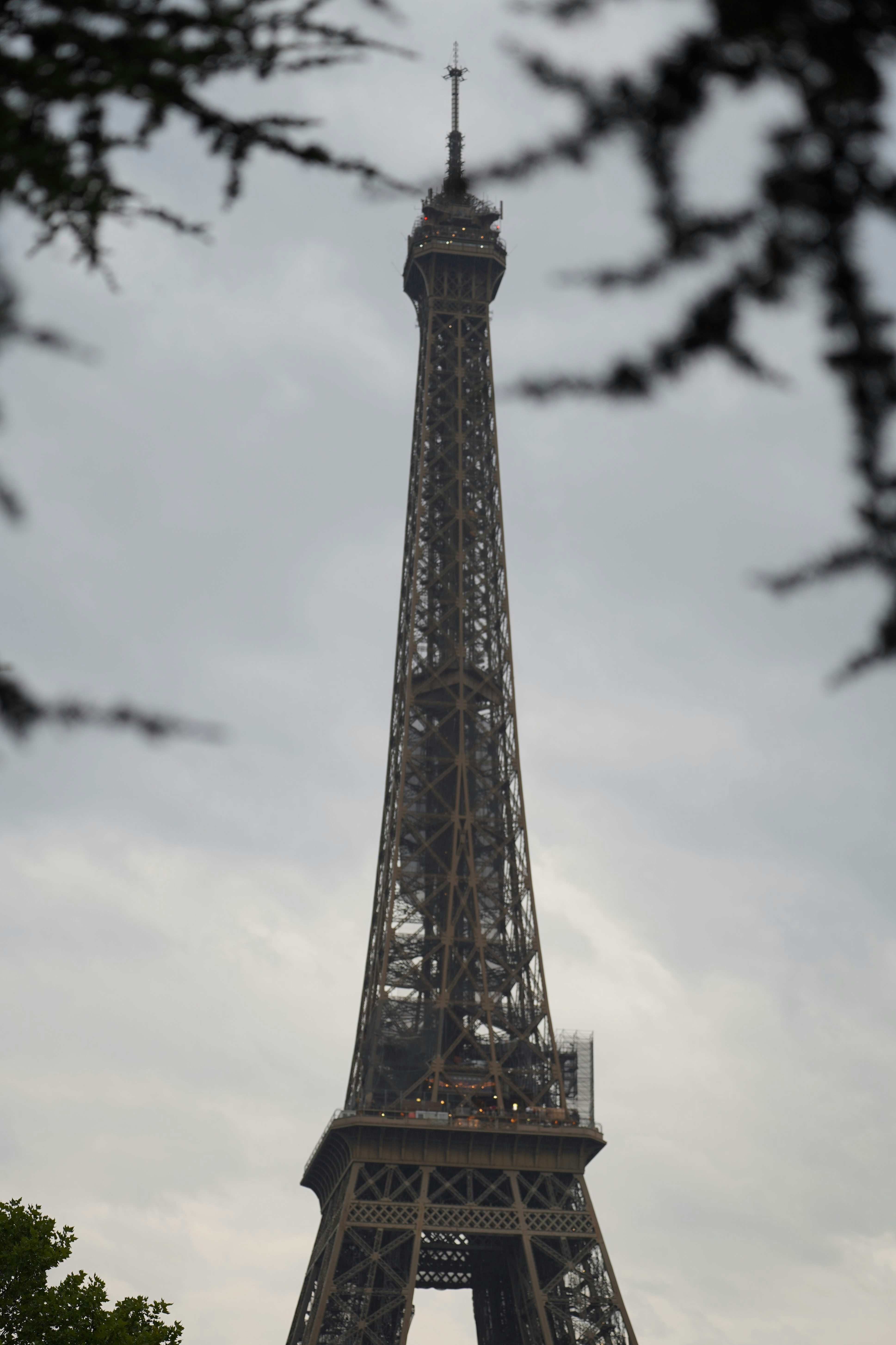 Photo by maartenvnmlct