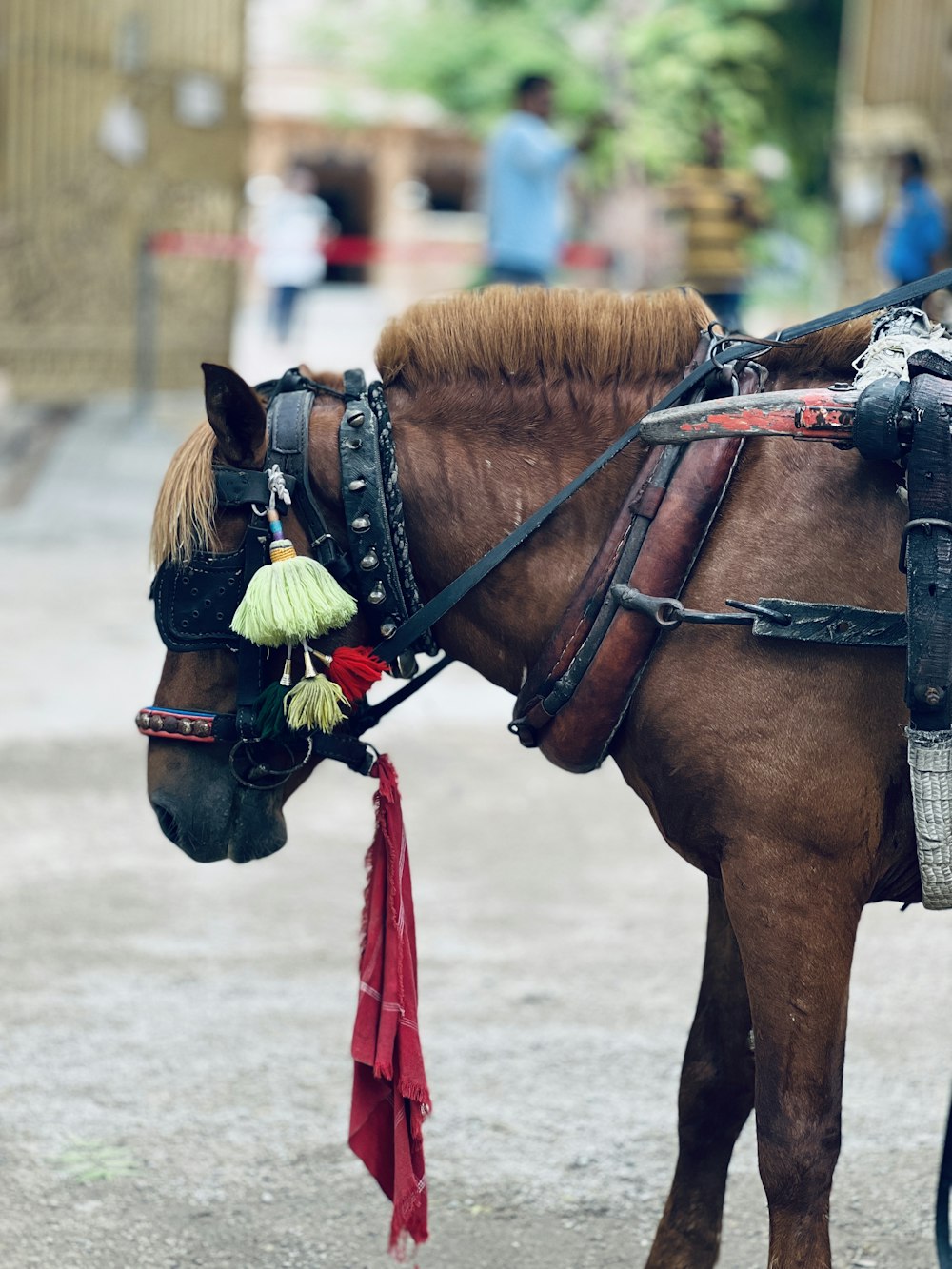 a couple of horses stand near each other