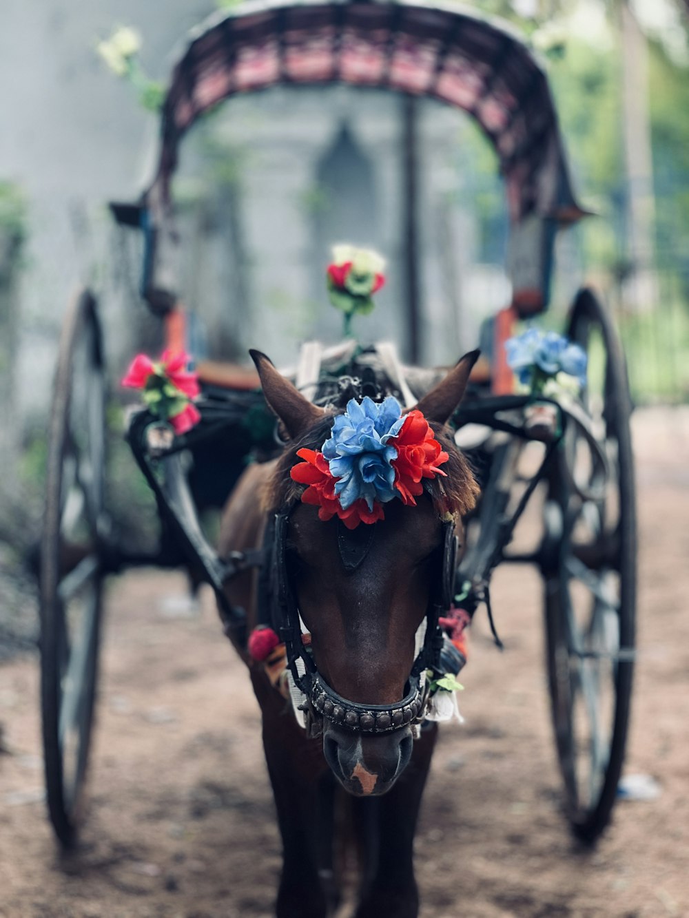 a donkey with flowers on its head