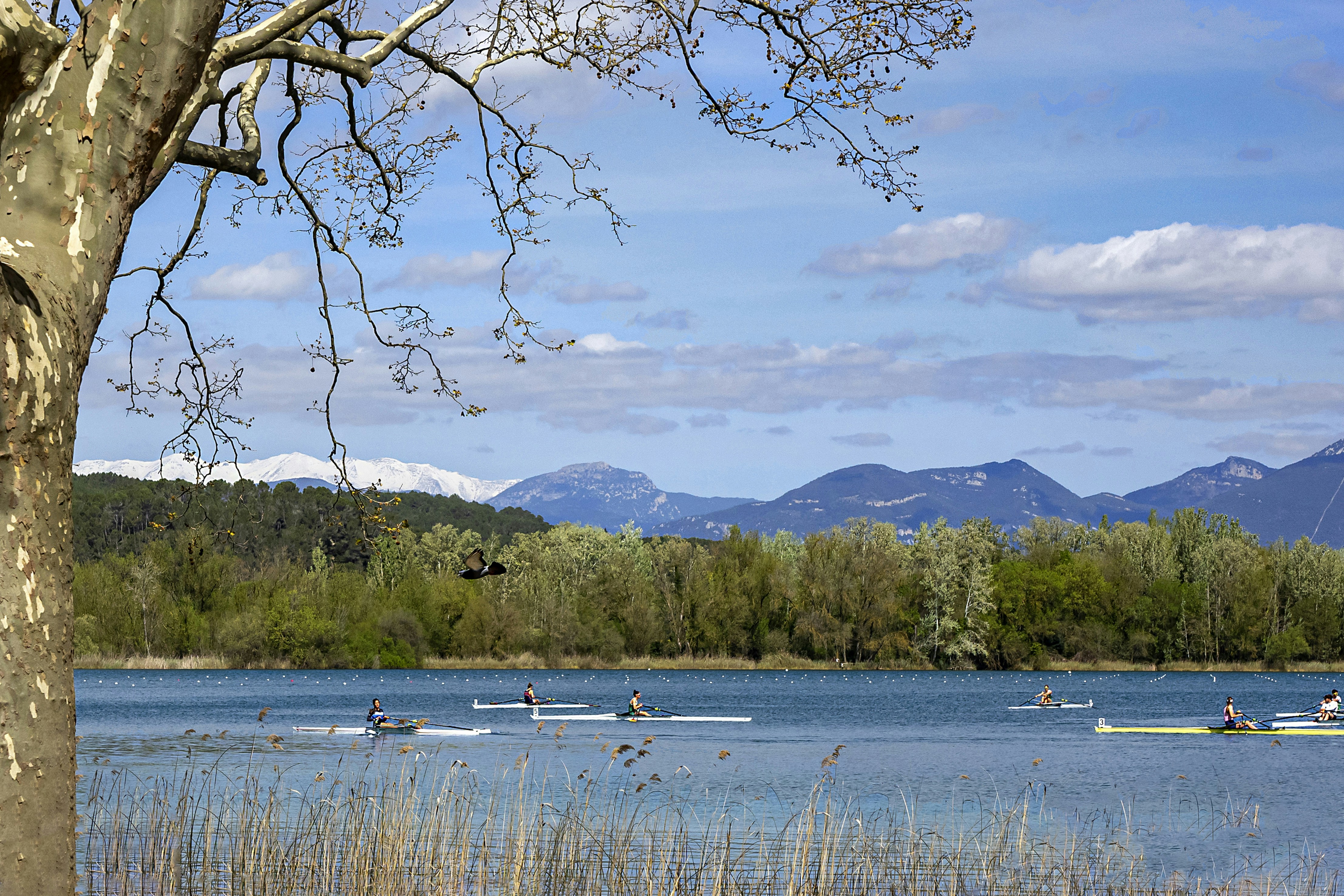 Lago del Retiro con barcas y árboles en día soleado