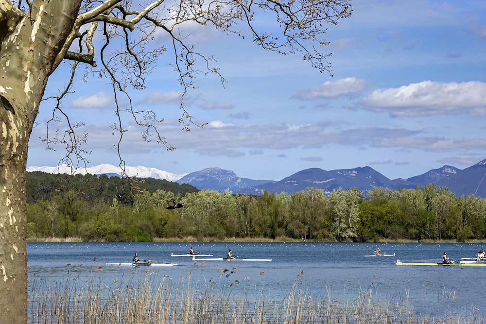 Un groupe de personnes ramant sur un lac