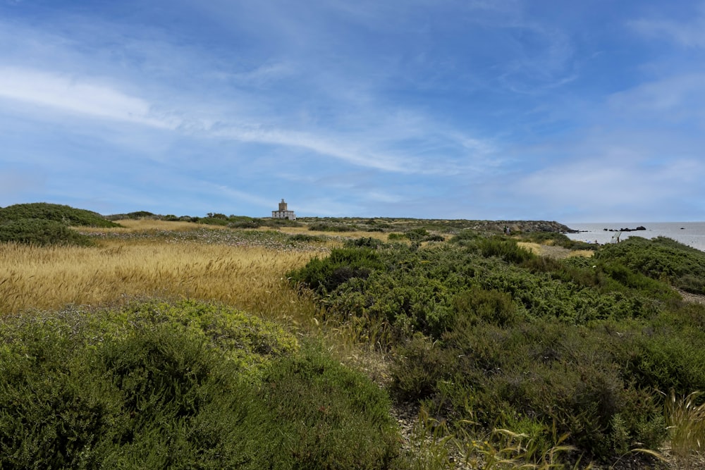 a grassy area with a body of water in the background