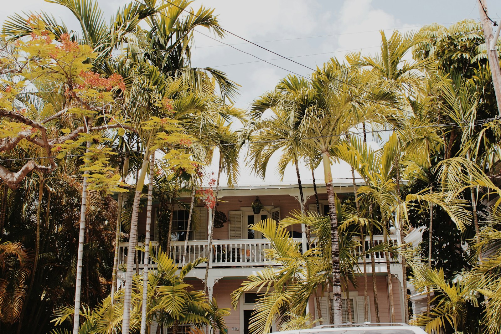A single family home in South Florida framed by palm trees