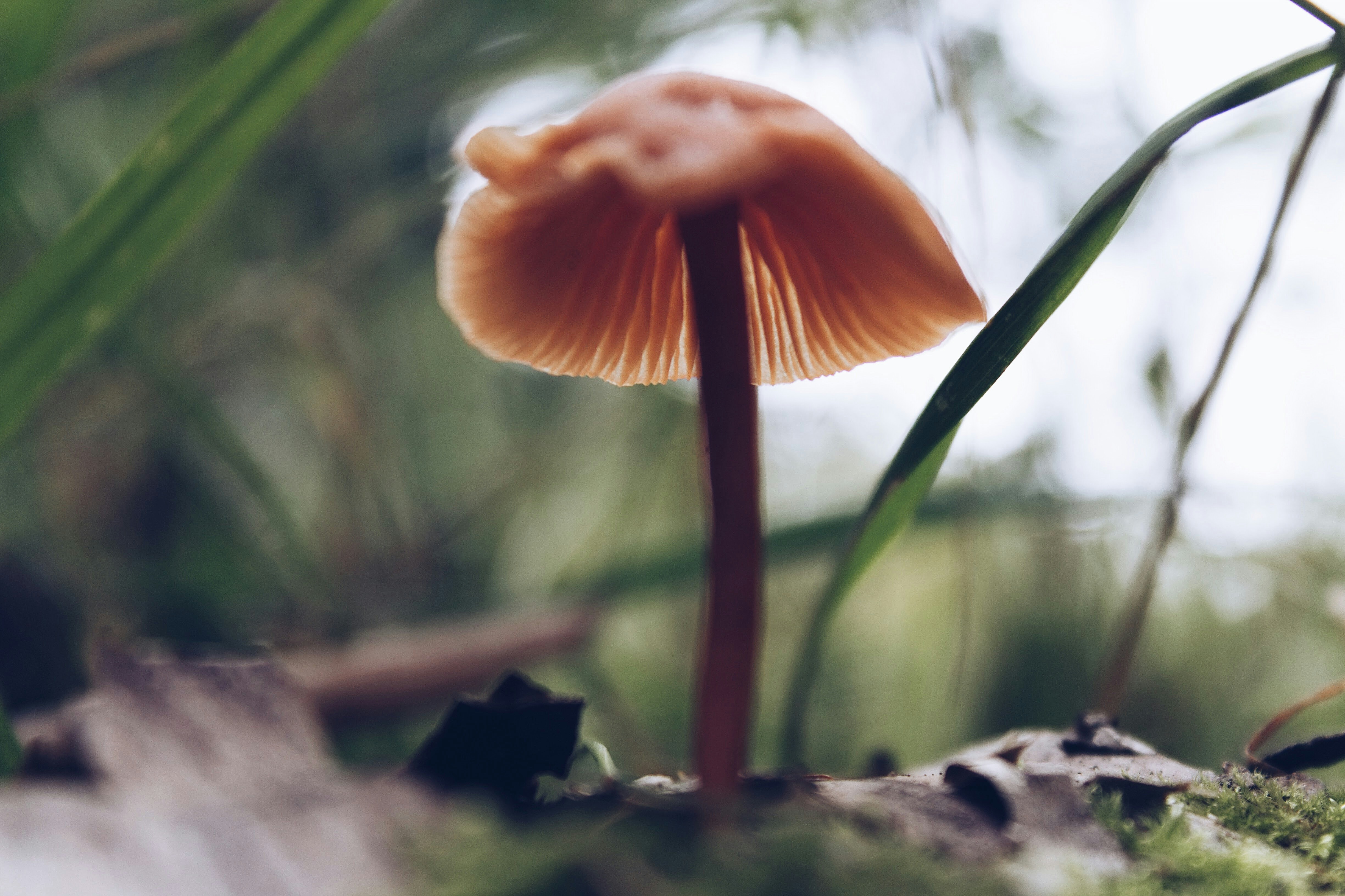 Photo by megjenson