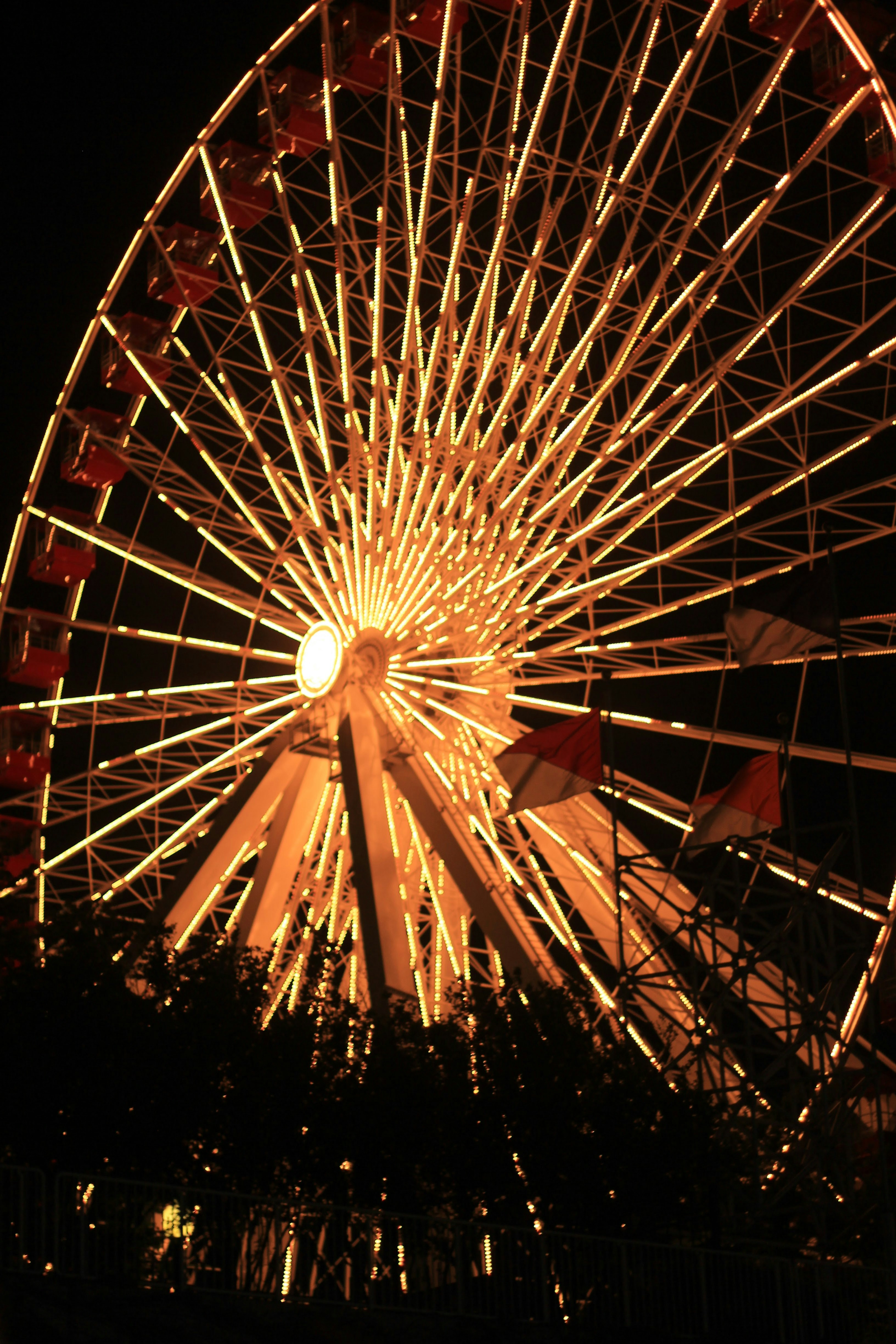 a close up of a ride