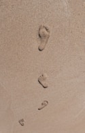a group of small black and white objects on a white surface