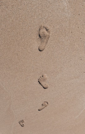 a group of small black and white objects on a white surface